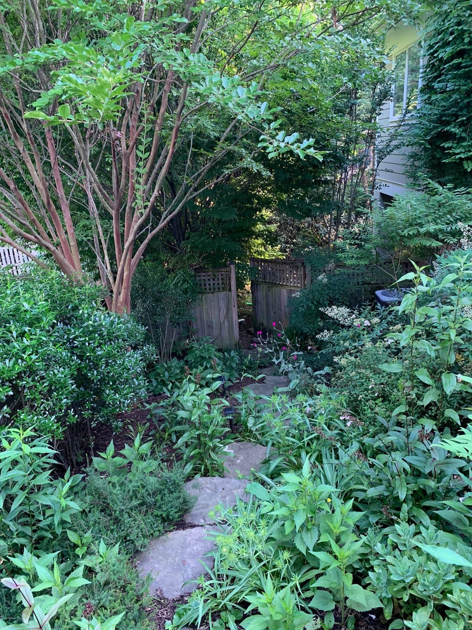 I love this descending path on the side of the house. So lush! 
