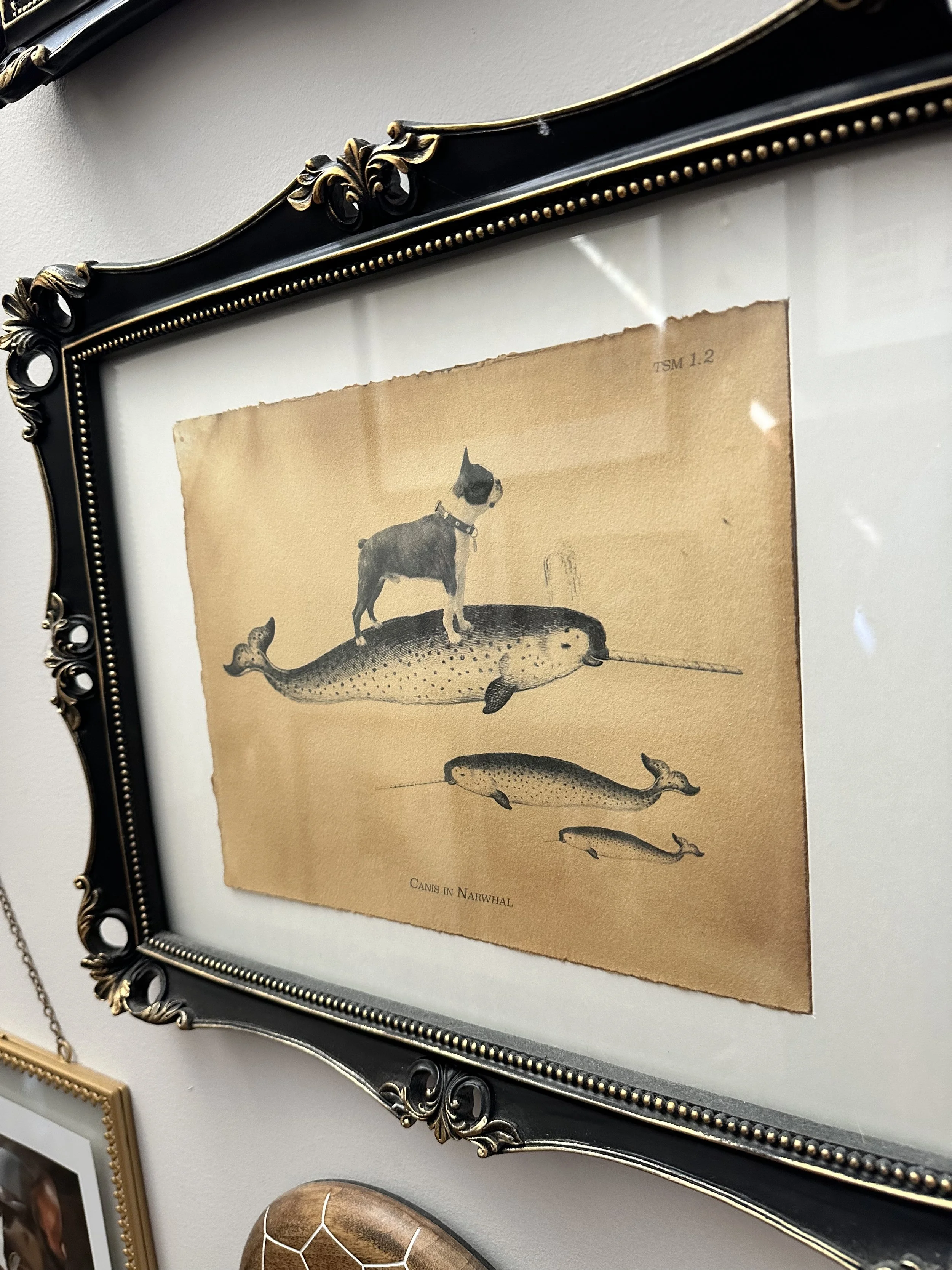 custom artwork of the family's late dog riding a narwhal into battle