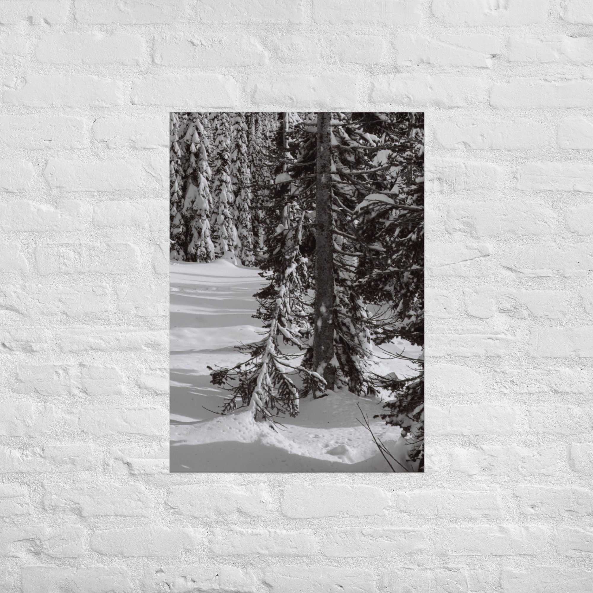 enhanced-matte-paper-poster-(in)-a1-(23.3x33.1)-front-67ed8efd55f68.jpg