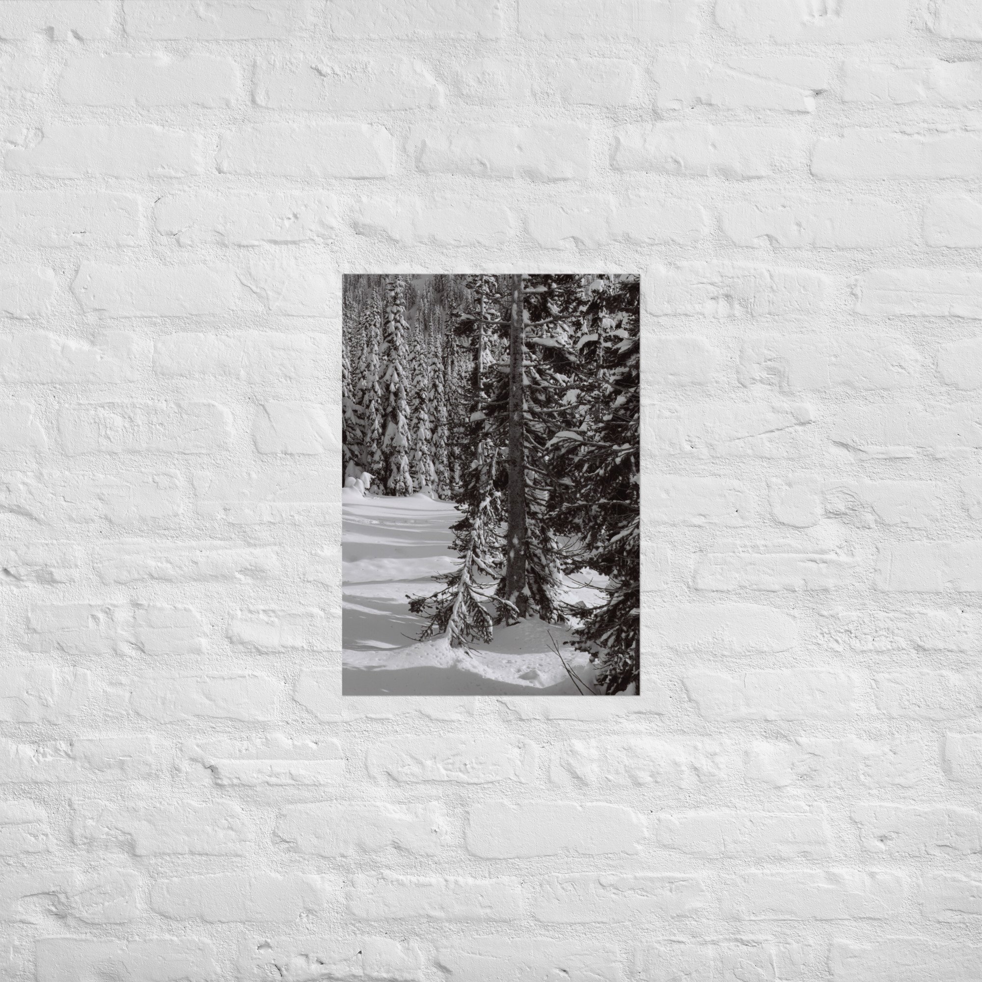 enhanced-matte-paper-poster-(in)-a2-(16.5x23.3)-front-67ed8efd56002.jpg