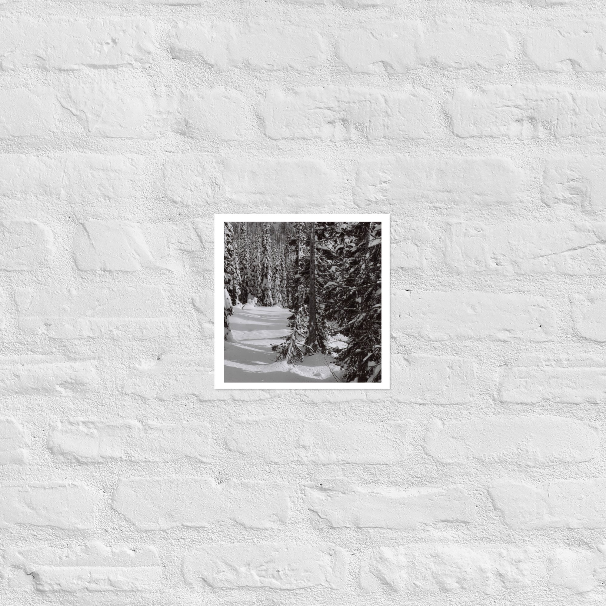 enhanced-matte-paper-poster-(in)-10x10-front-67ed8efd560c0.jpg