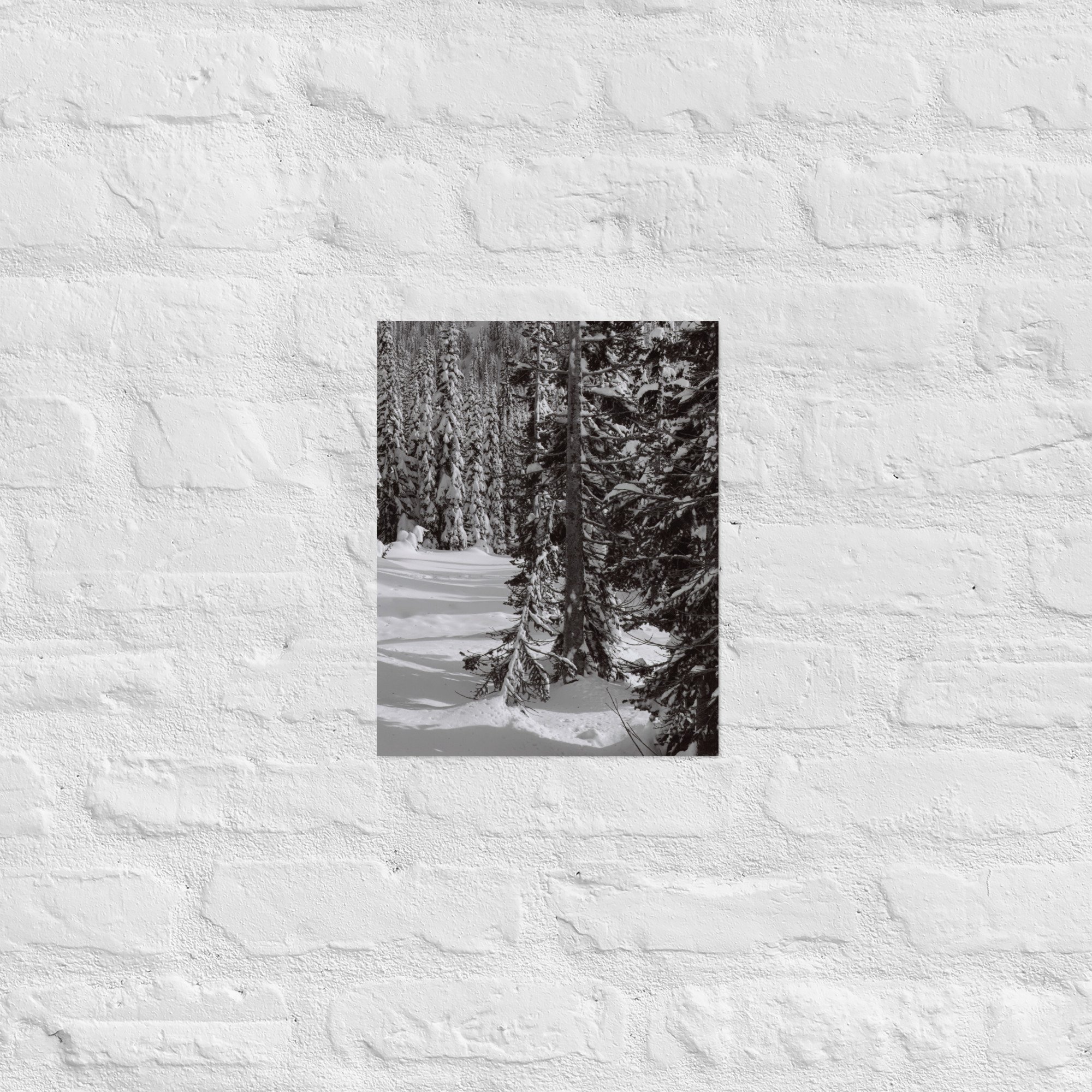 enhanced-matte-paper-poster-(in)-11x14-front-67ed8efd5619a.jpg