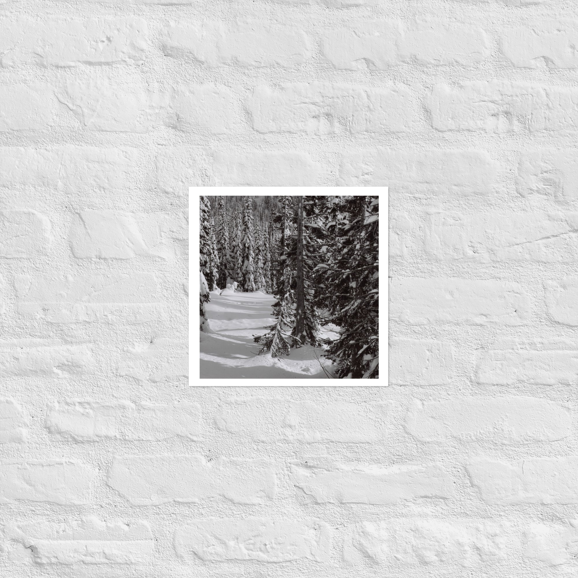 enhanced-matte-paper-poster-(in)-12x12-front-67ed8efd5624d.jpg
