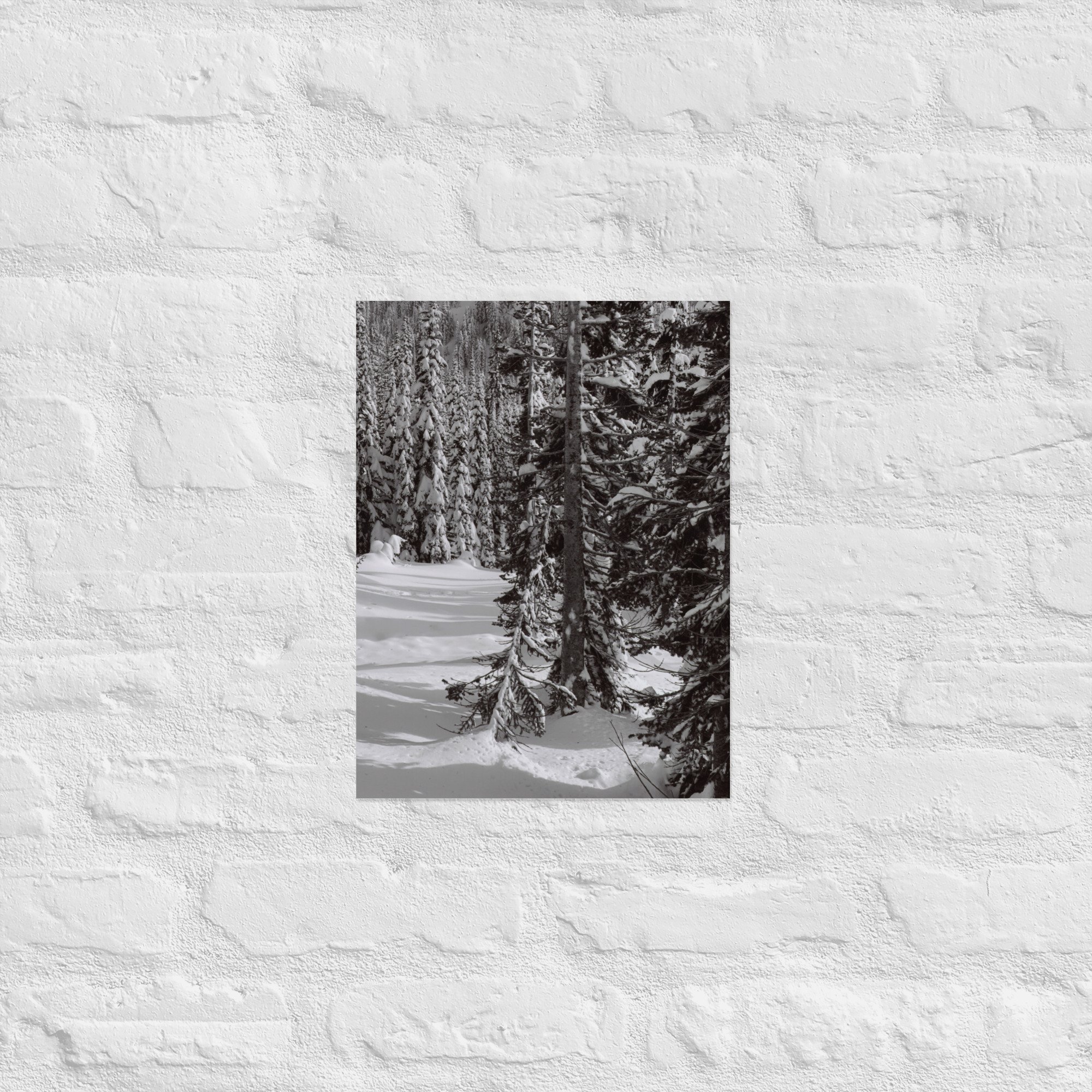 enhanced-matte-paper-poster-(in)-12x16-front-67ed8efd562f7.jpg