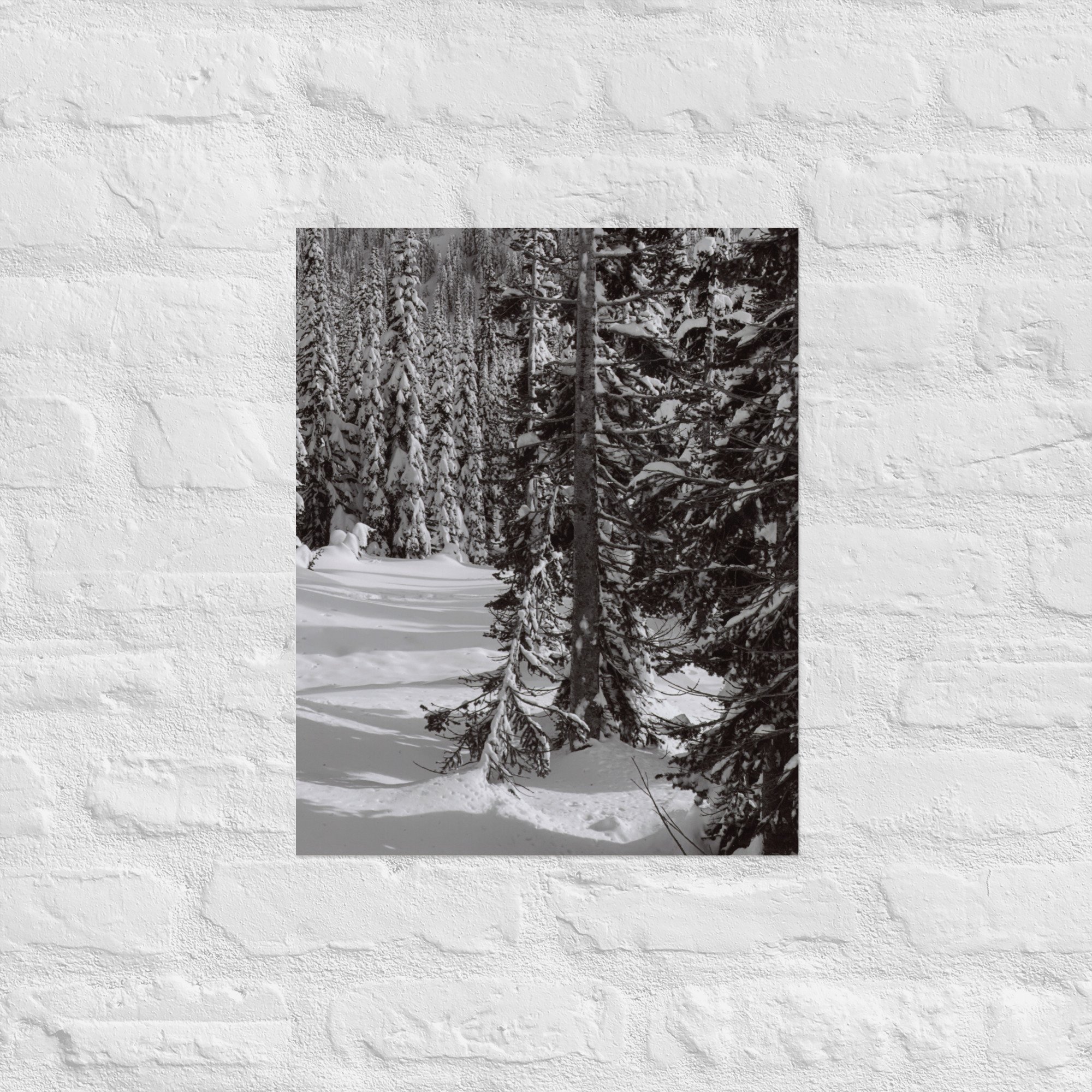 enhanced-matte-paper-poster-(in)-16x20-front-67ed8efd565df.jpg