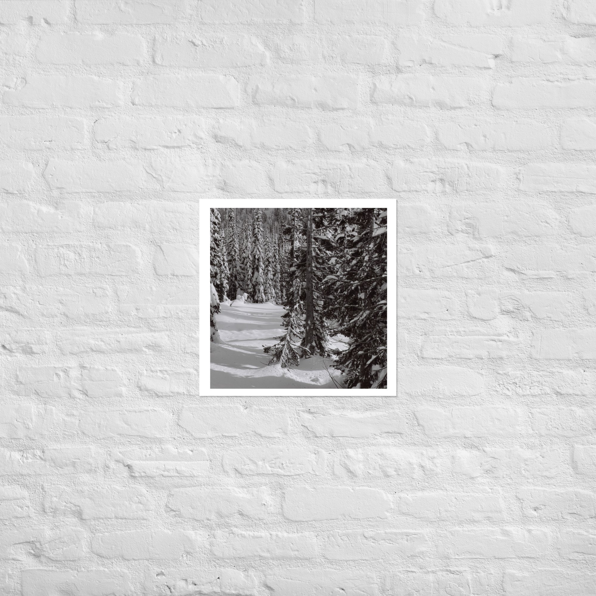 enhanced-matte-paper-poster-(in)-18x18-front-67ed8efd56686.jpg