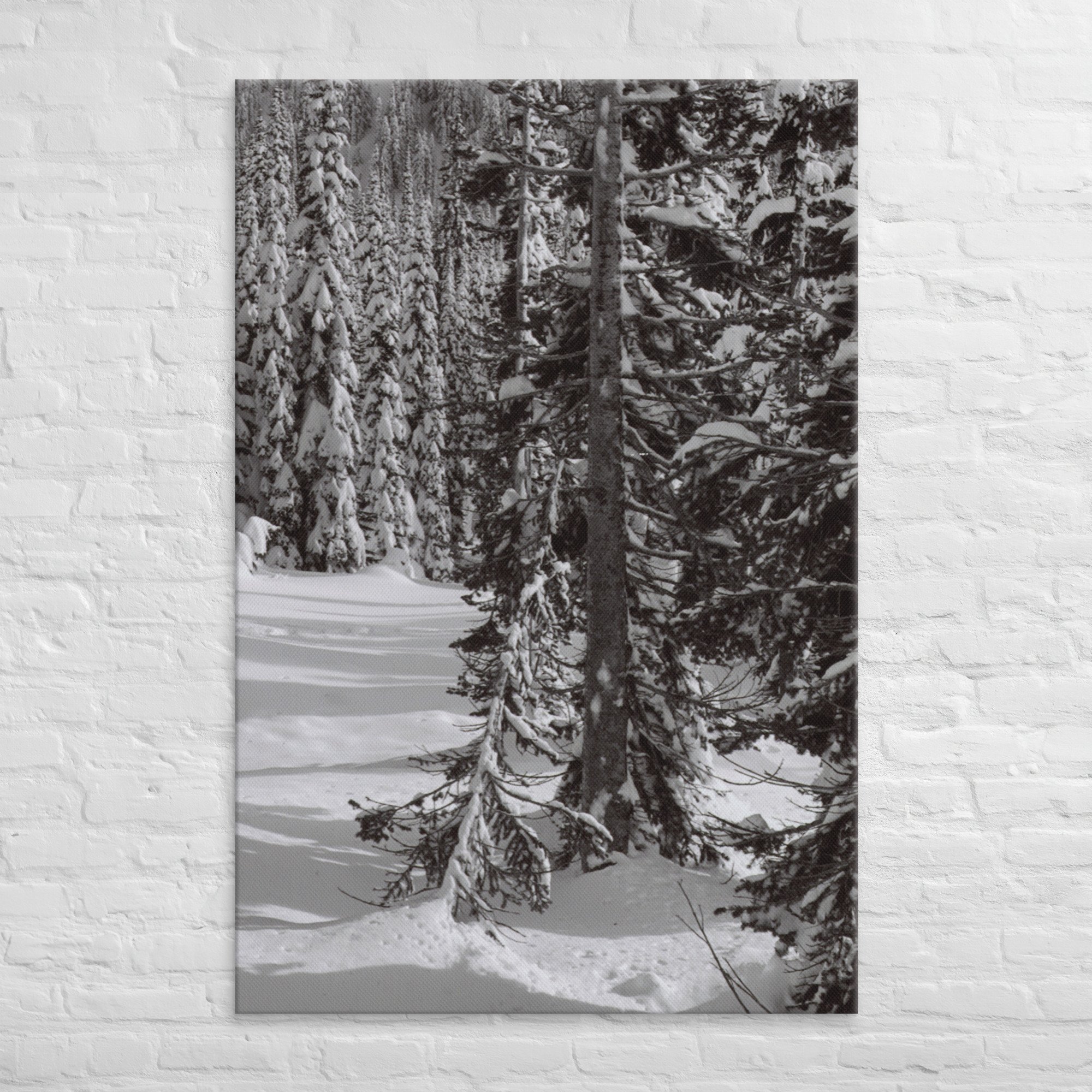 canvas-(in)-40x60-front-67ed9e6102131.jpg
