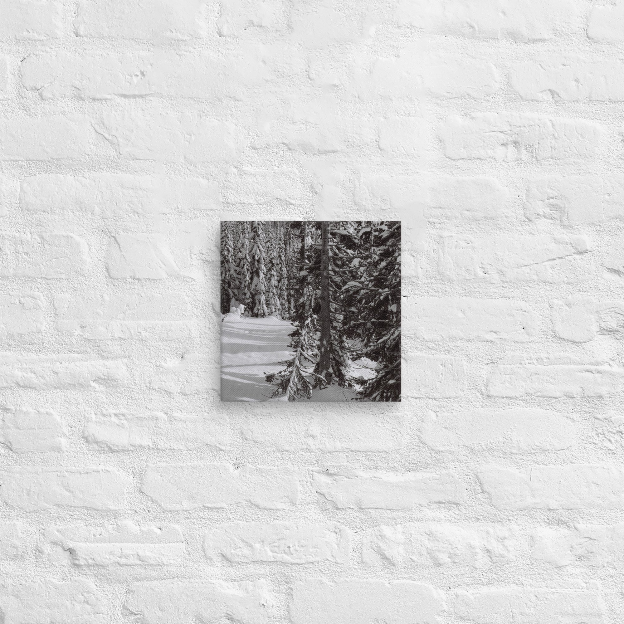 canvas-(in)-10x10-front-67ed9e6102b28.jpg