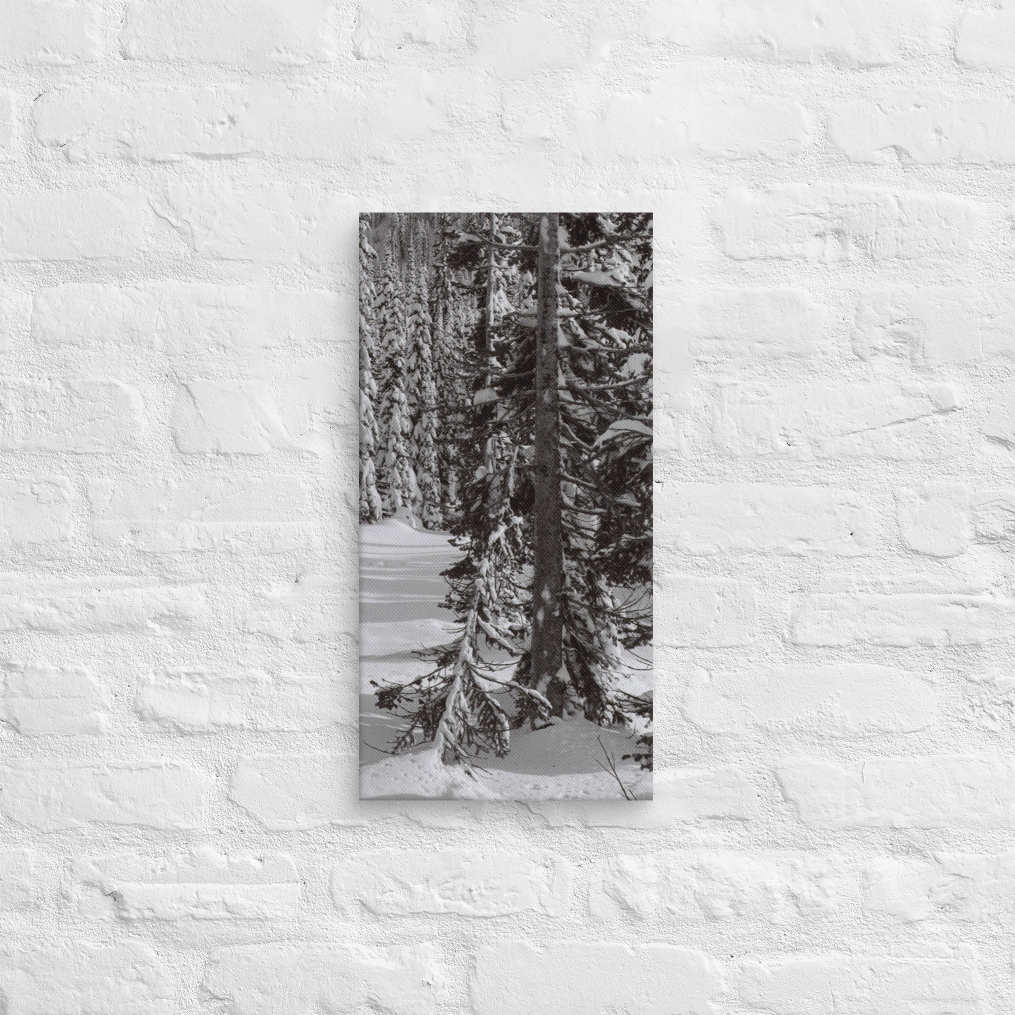 canvas-(in)-10x20-front-67ed9e6102c33.jpg