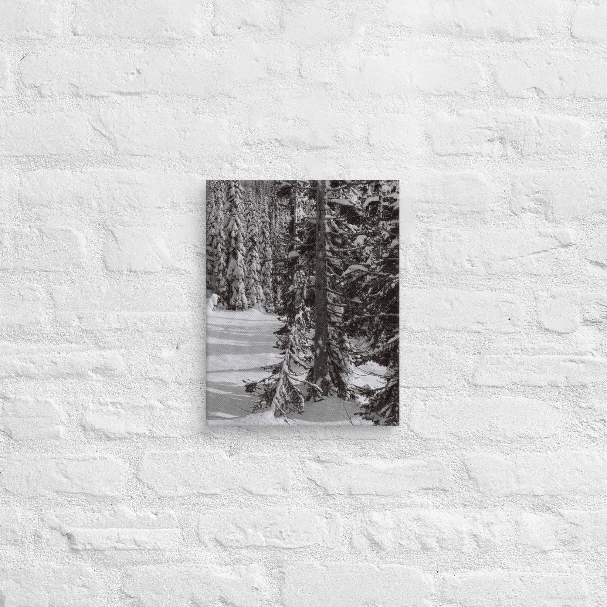 canvas-(in)-11x14-front-67ed9e6102d1d.jpg