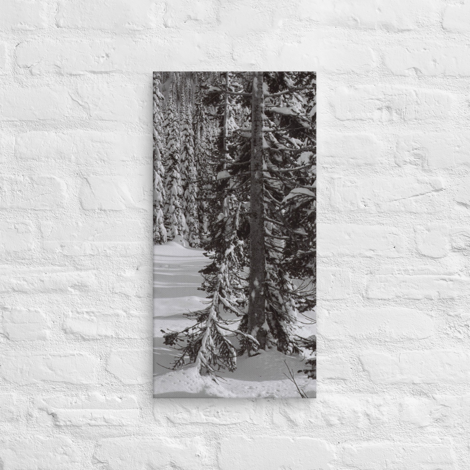 canvas-(in)-12x24-front-67ed9e6102eb1.jpg