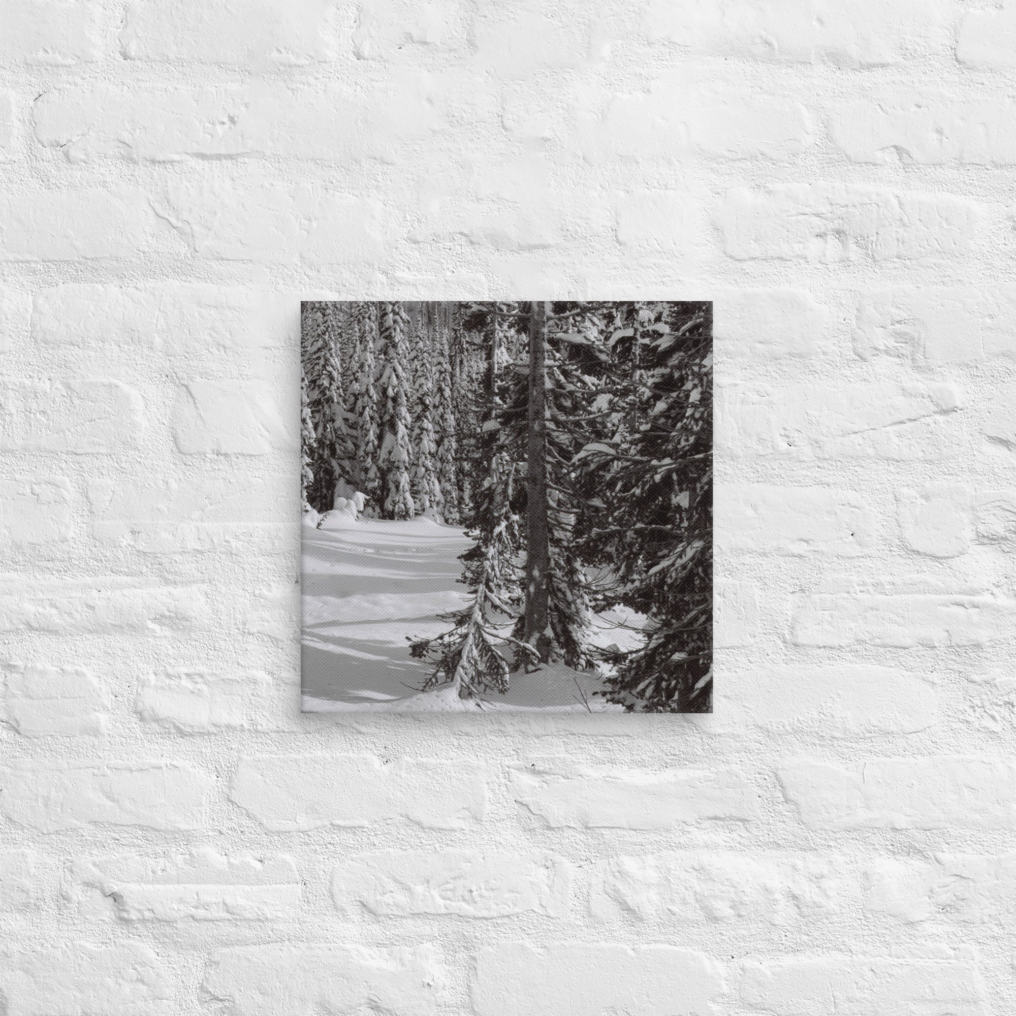 canvas-(in)-14x14-front-67ed9e6102fad.jpg