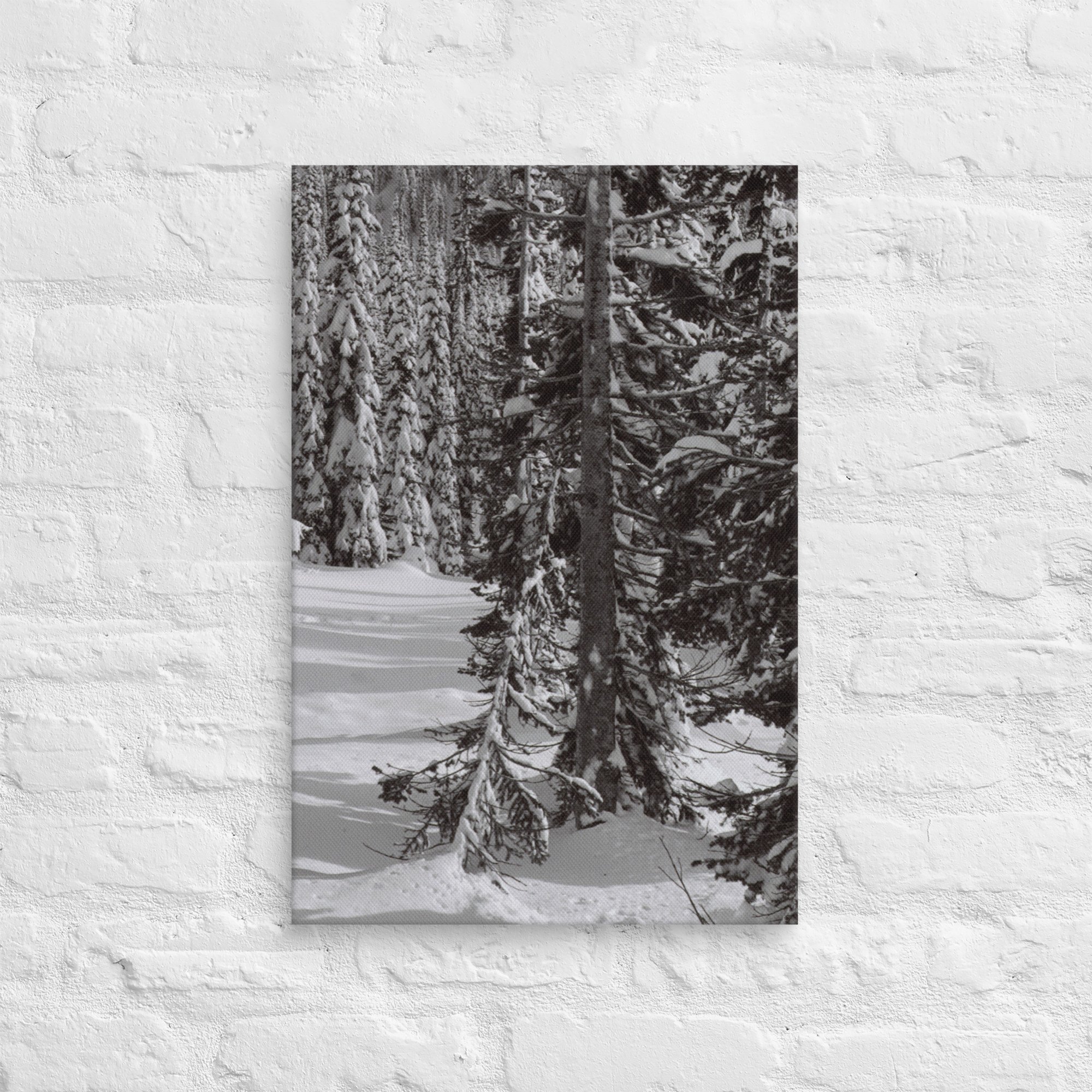 canvas-(in)-16x24-front-67ed9e6103027.jpg
