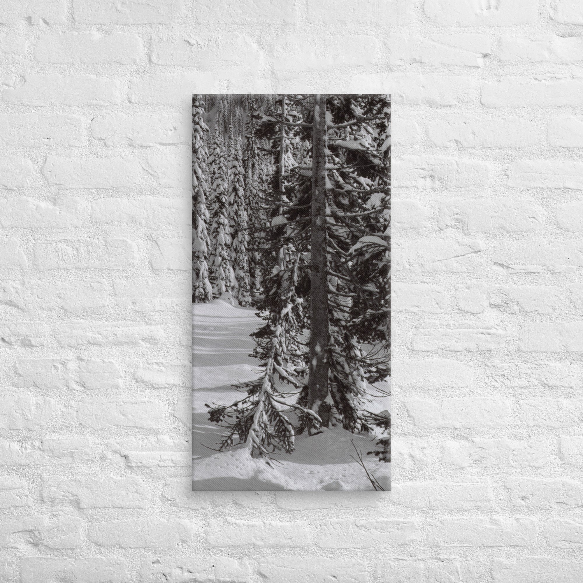 canvas-(in)-16x32-front-67ed9e6103105.jpg