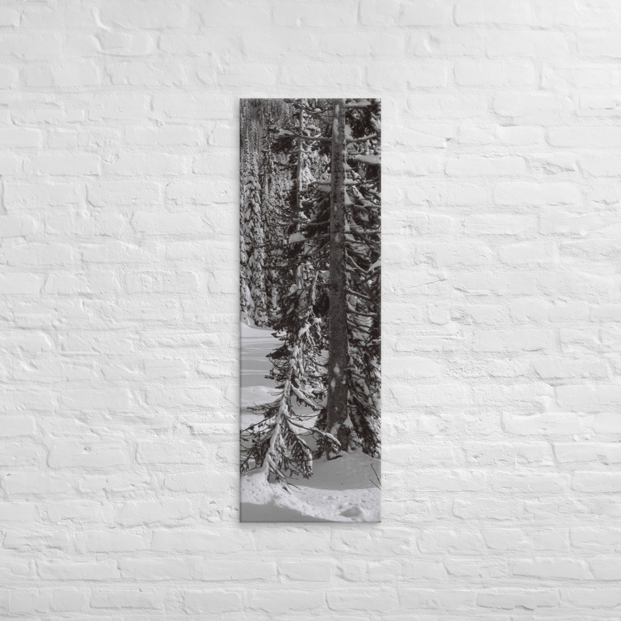canvas-(in)-16x48-front-67ed9e6103185.jpg