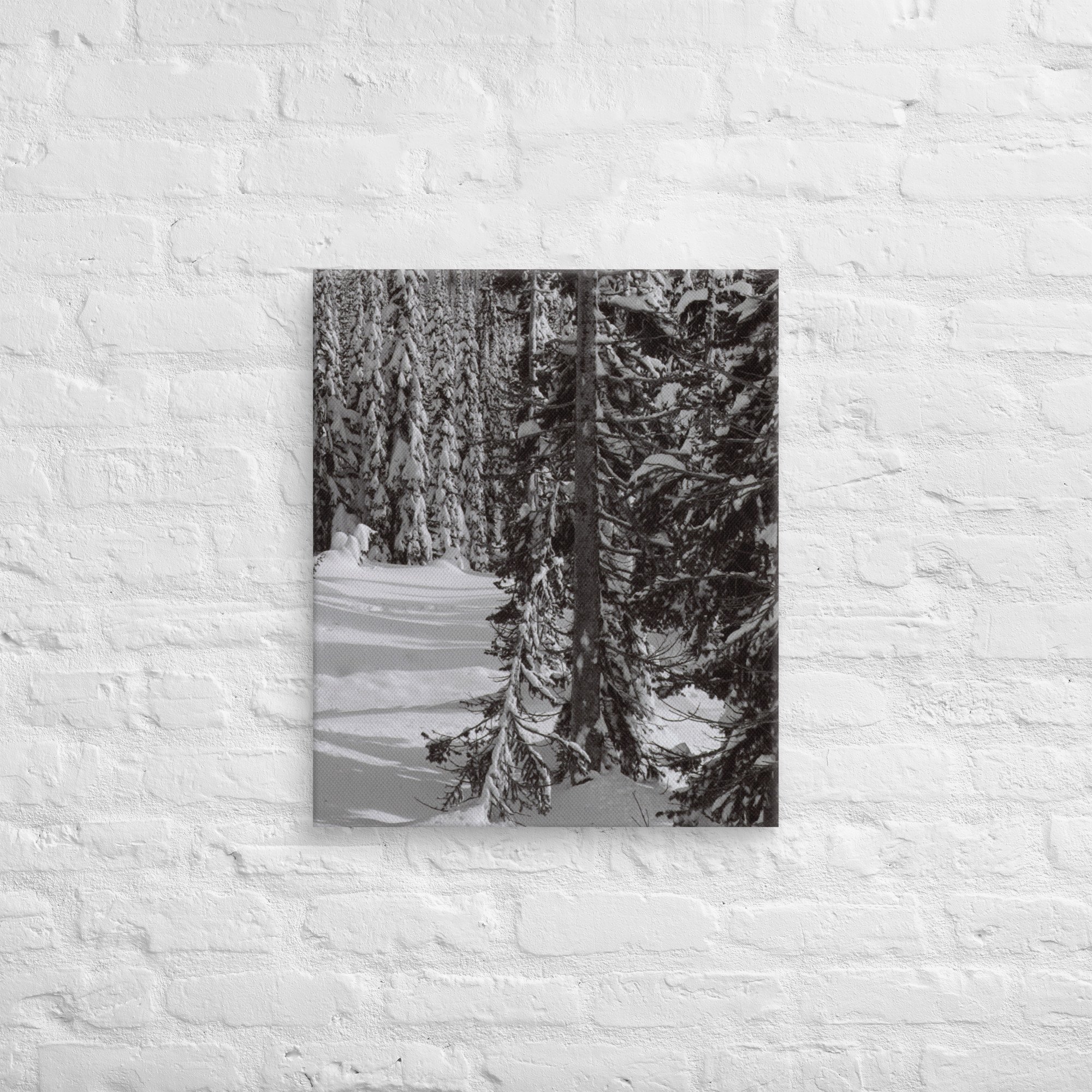 canvas-(in)-20x24-front-67ed9e610336c.jpg