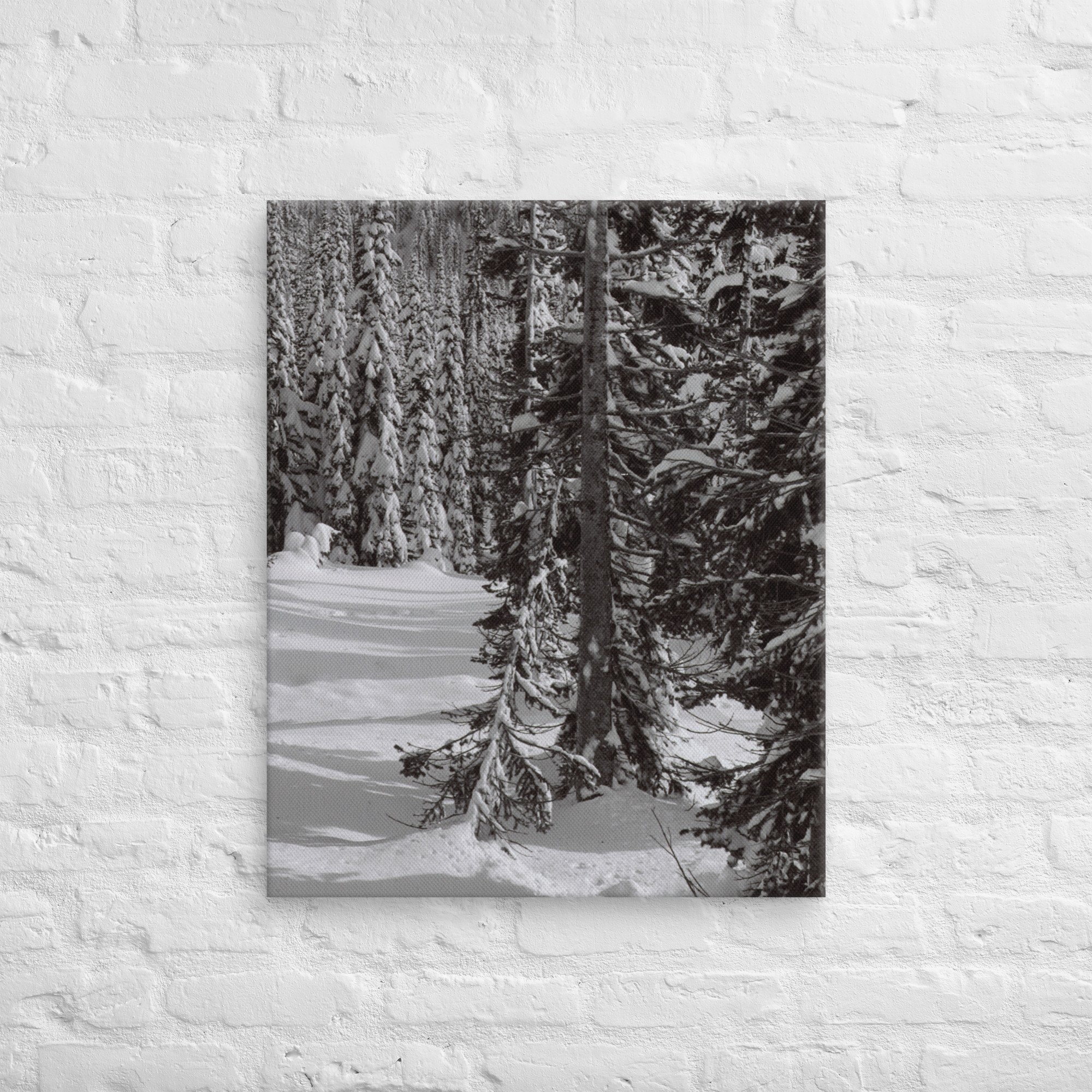 canvas-(in)-24x30-front-67ed9e6103646.jpg