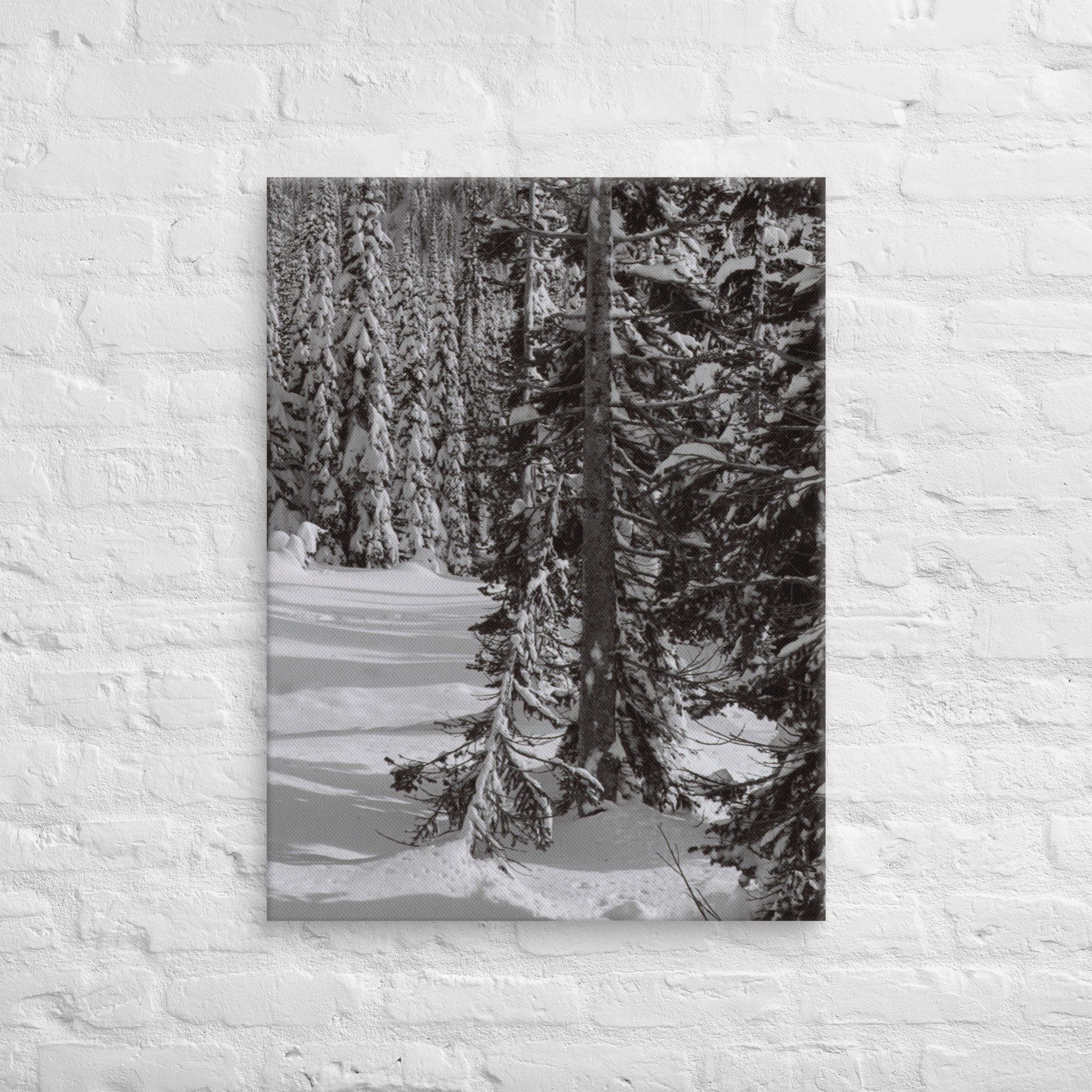 canvas-(in)-24x32-front-67ed9e61036c0.jpg