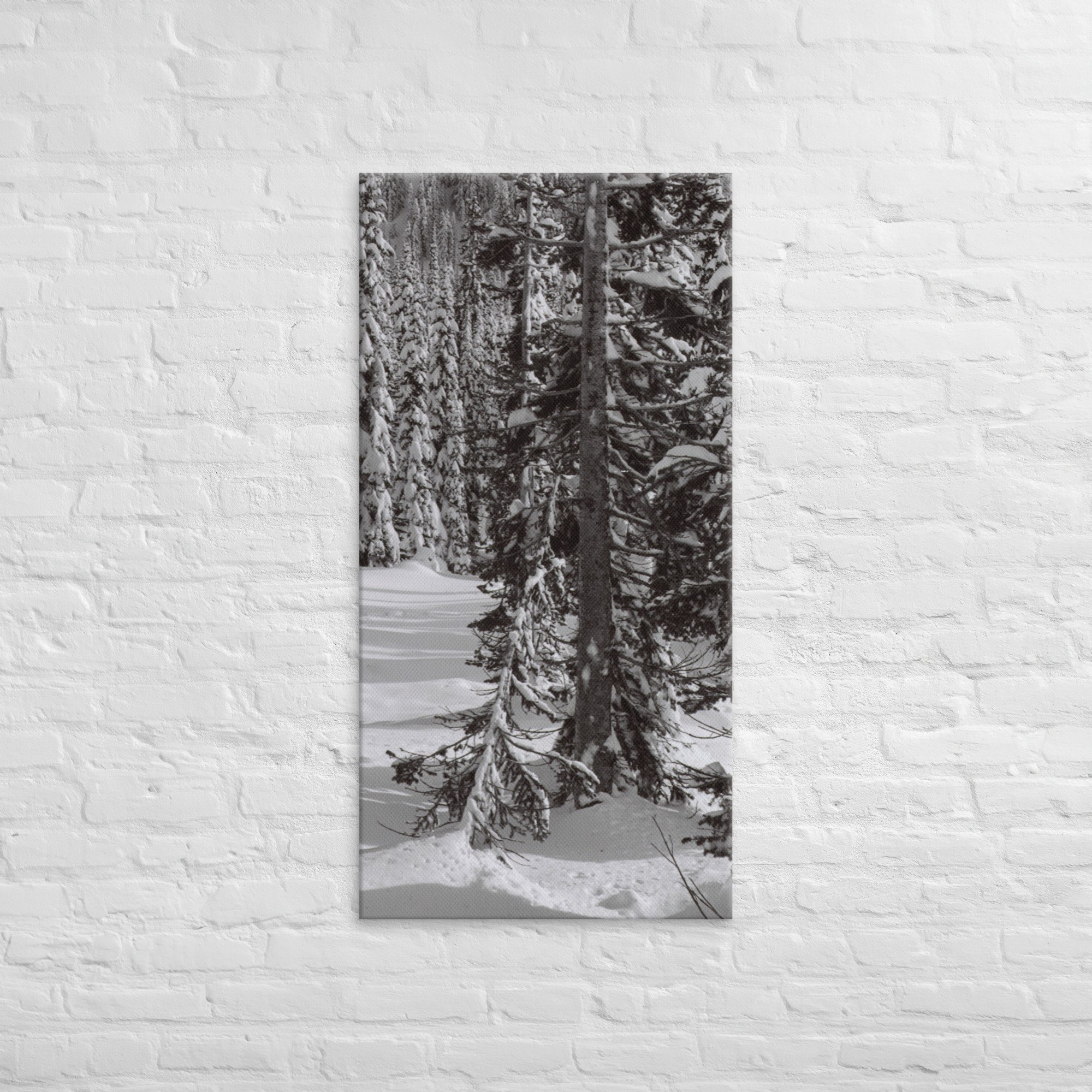 canvas-(in)-24x48-front-67ed9e610373a.jpg