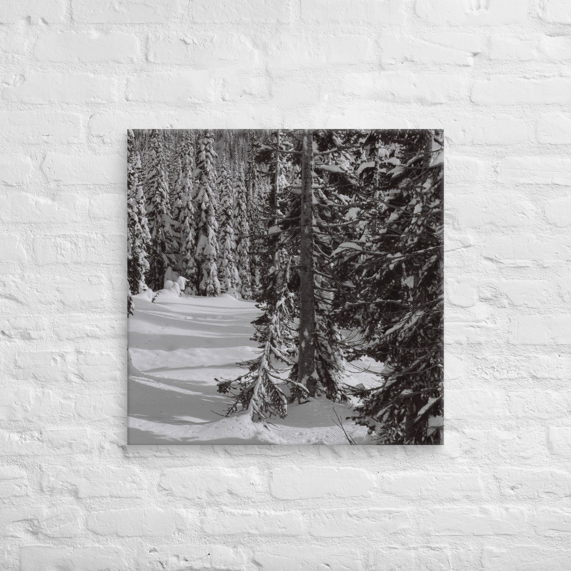 canvas-(in)-26x26-front-67ed9e61037c0.jpg