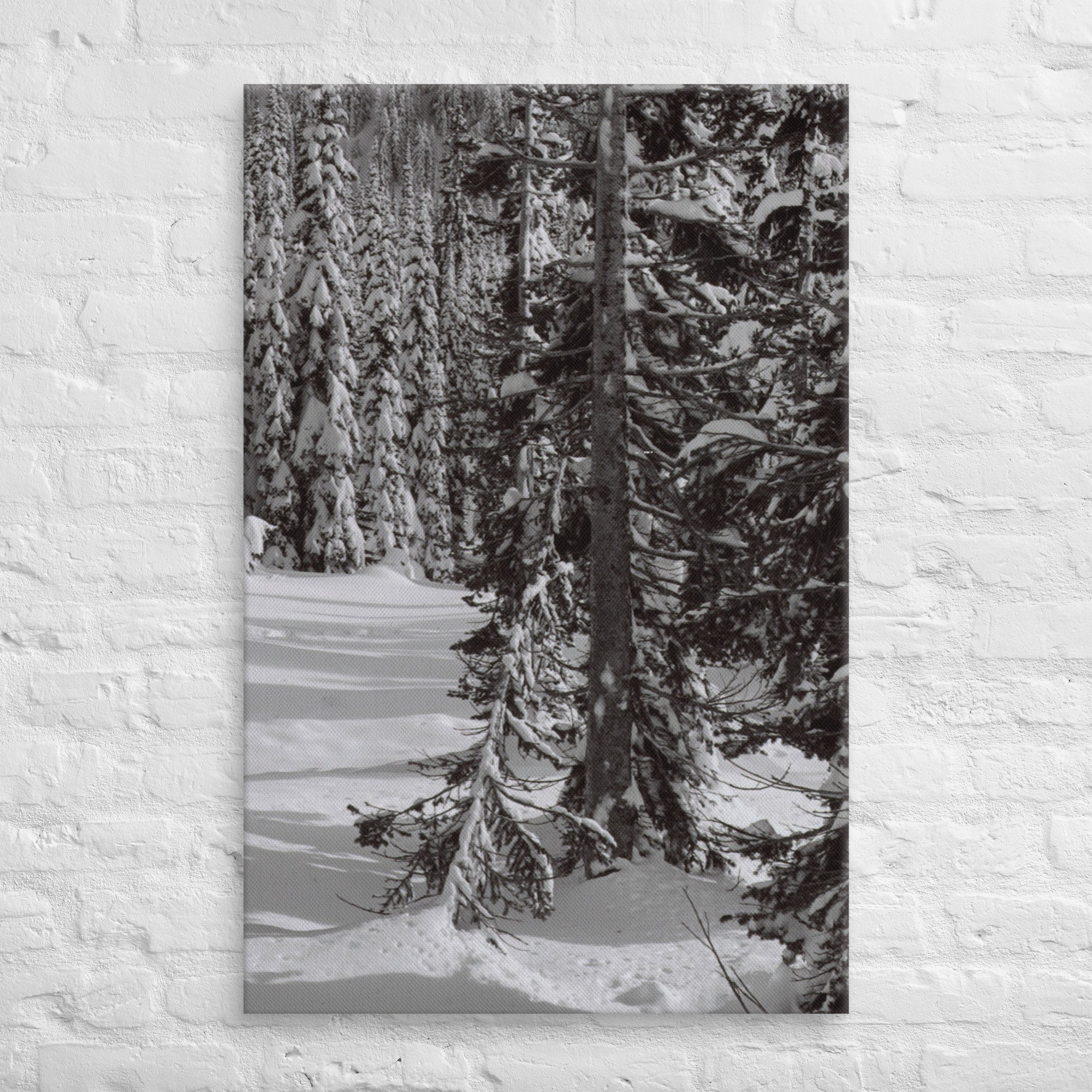 canvas-(in)-26x40-front-67ed9e610383b.jpg