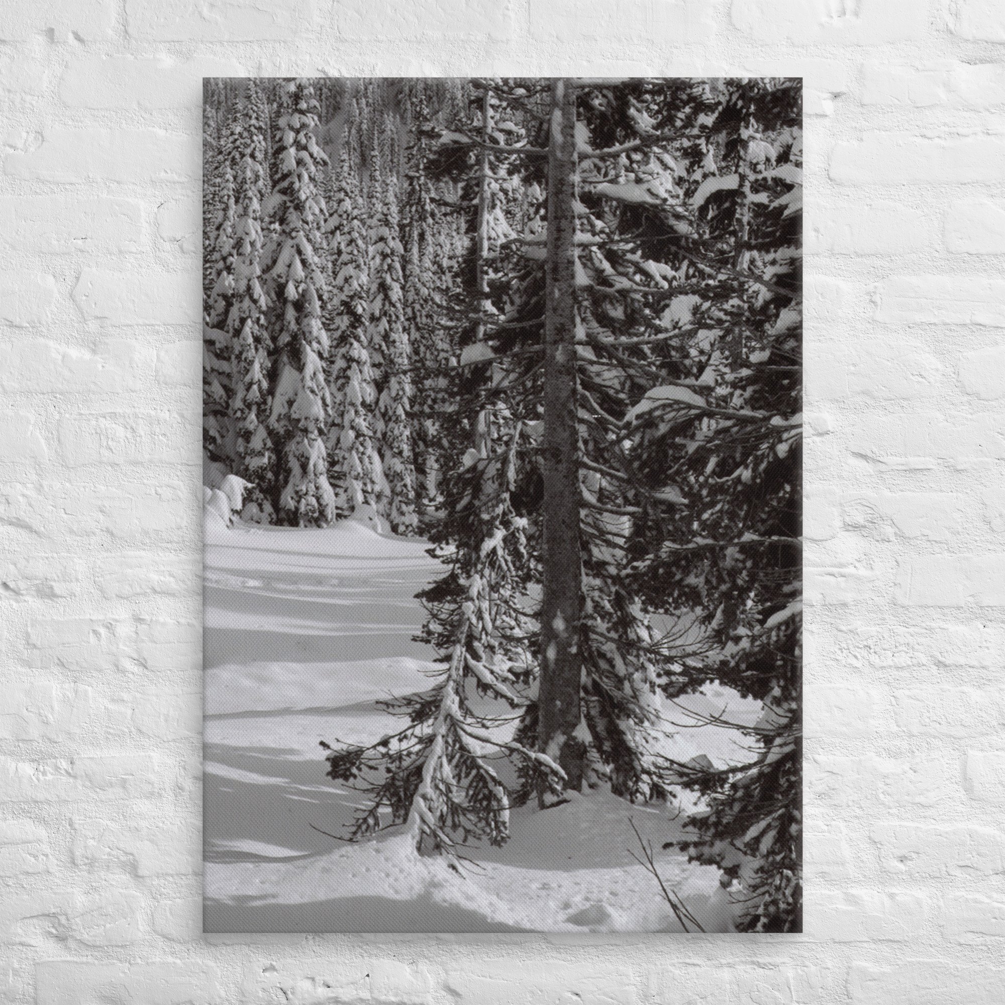canvas-(in)-28x40-front-67ed9e6103938.jpg