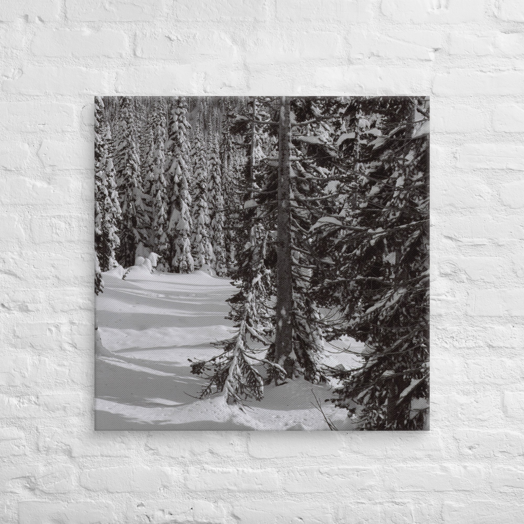canvas-(in)-30x30-front-67ed9e61039b3.jpg