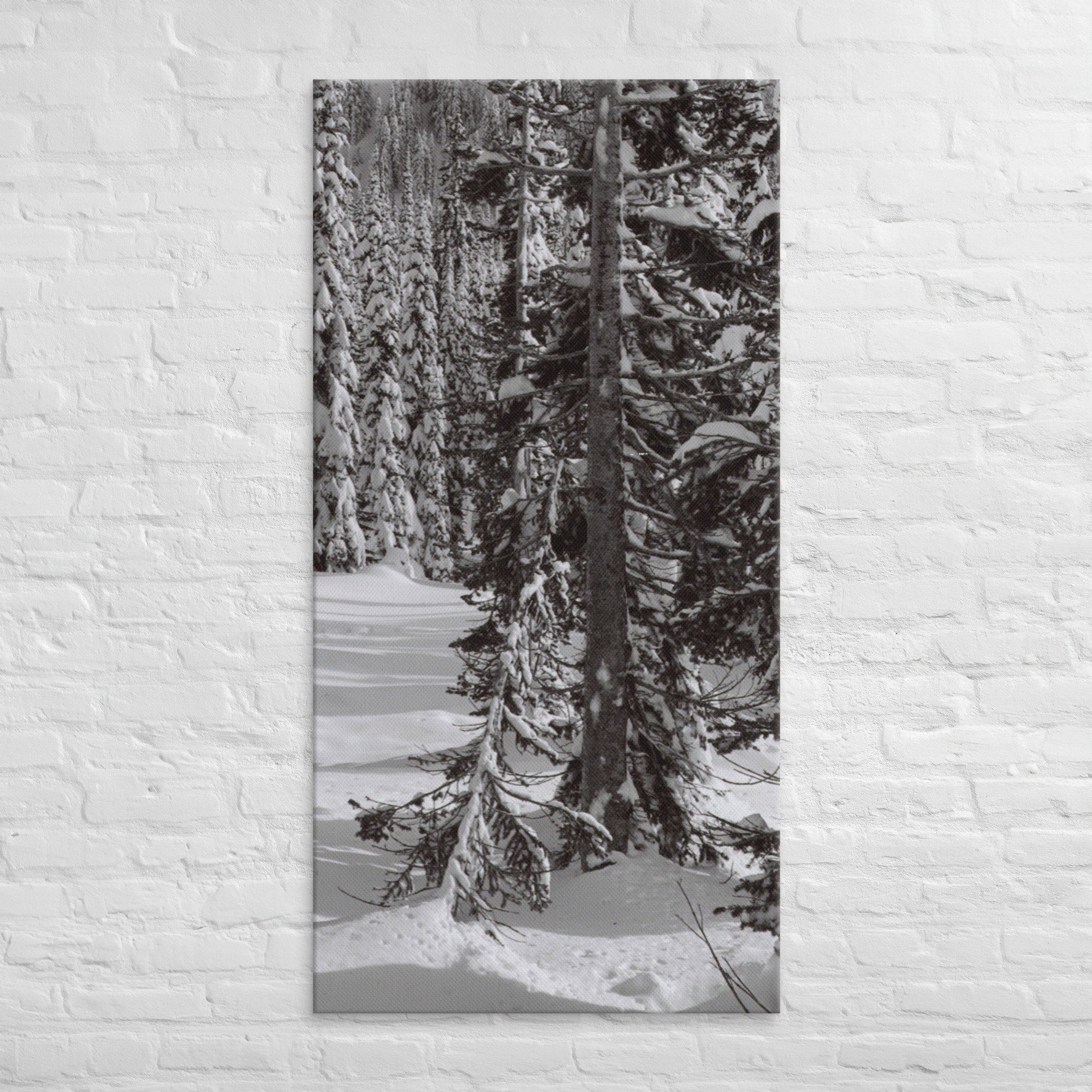 canvas-(in)-30x60-front-67ed9e6103ad1.jpg