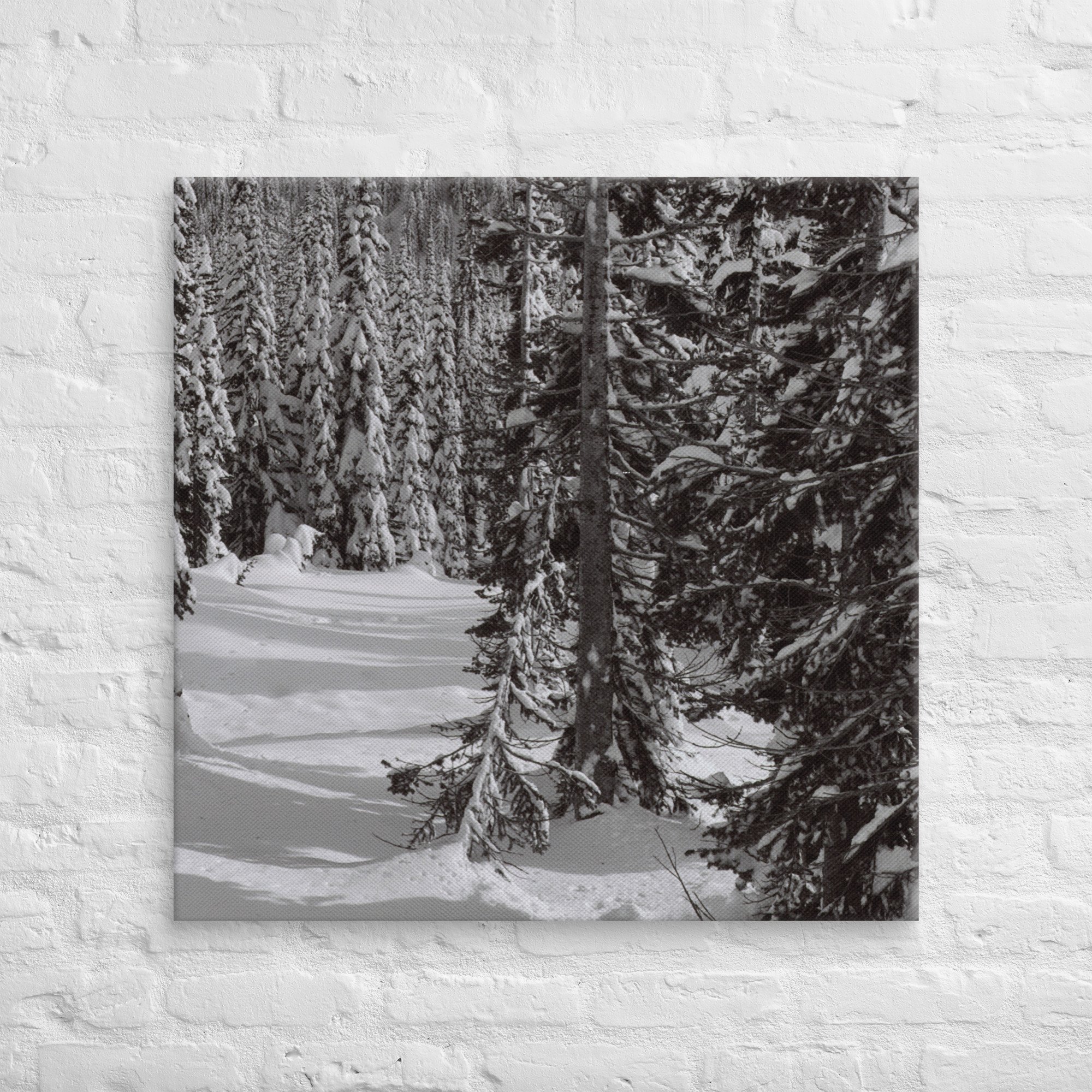 canvas-(in)-32x32-front-67ed9e6103b50.jpg