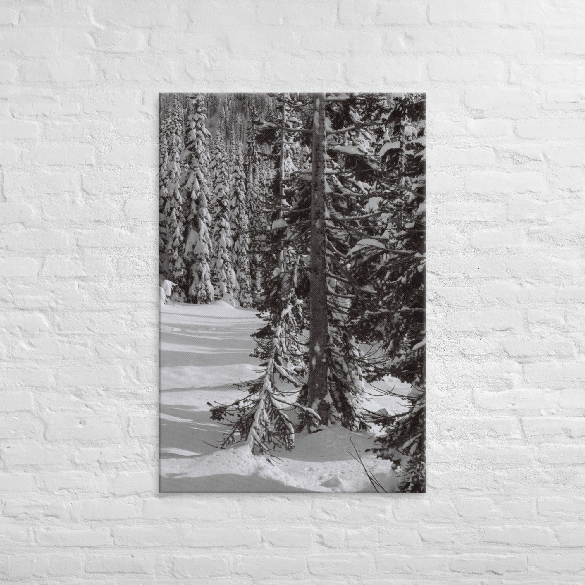 canvas-(in)-32x48-front-67ed9e6103bcb.jpg
