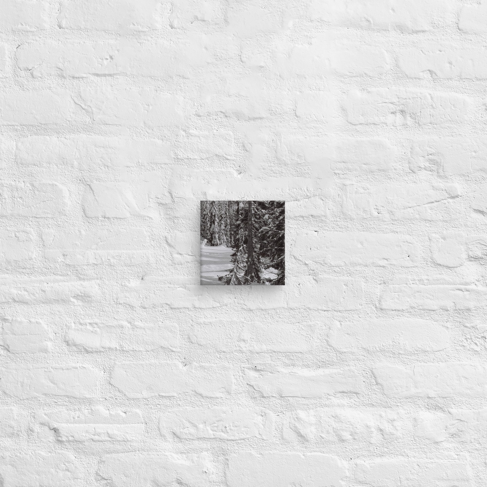 canvas-(in)-6x6-front-67ed9e6103dba.jpg