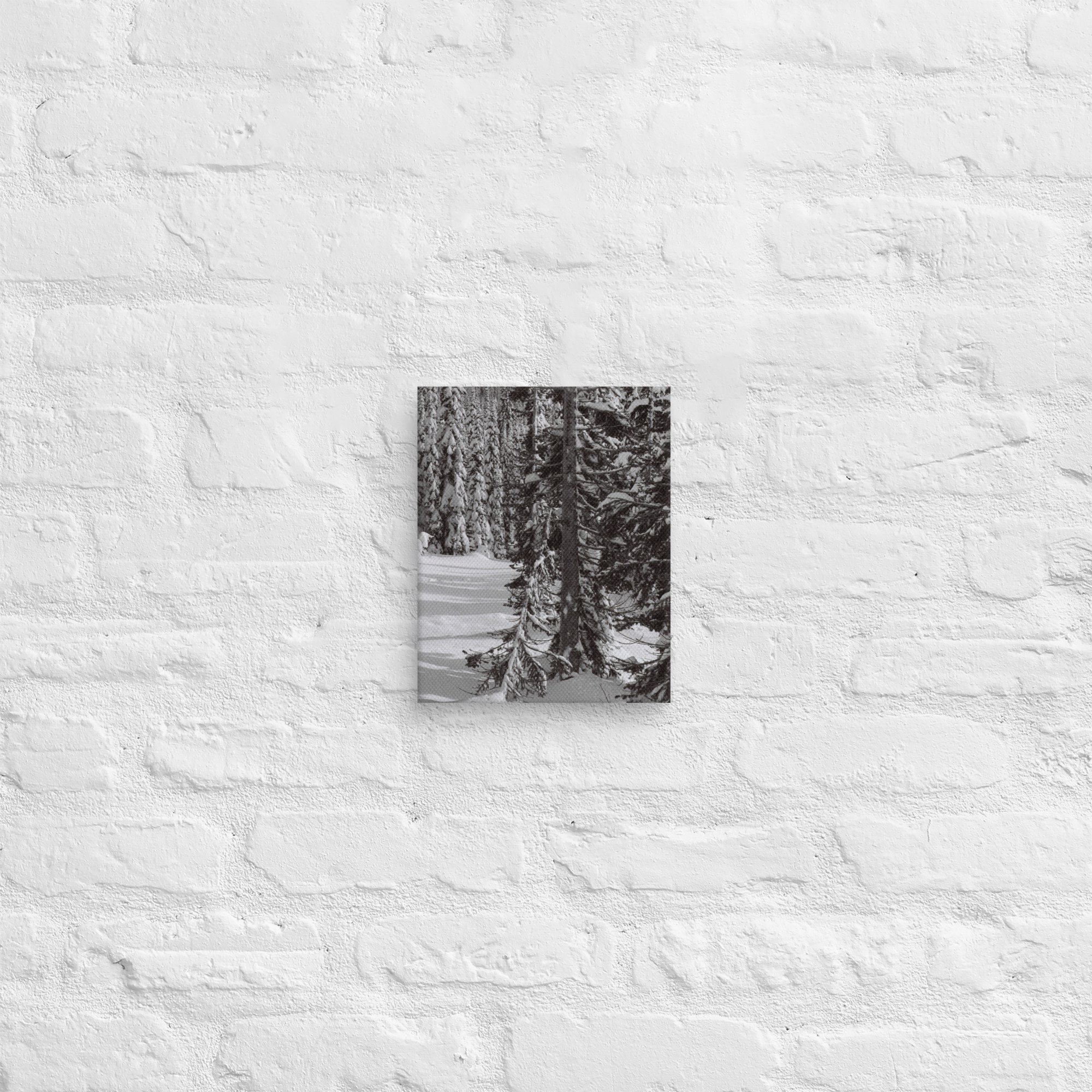 canvas-(in)-8x10-front-67ed9e6103e99.jpg