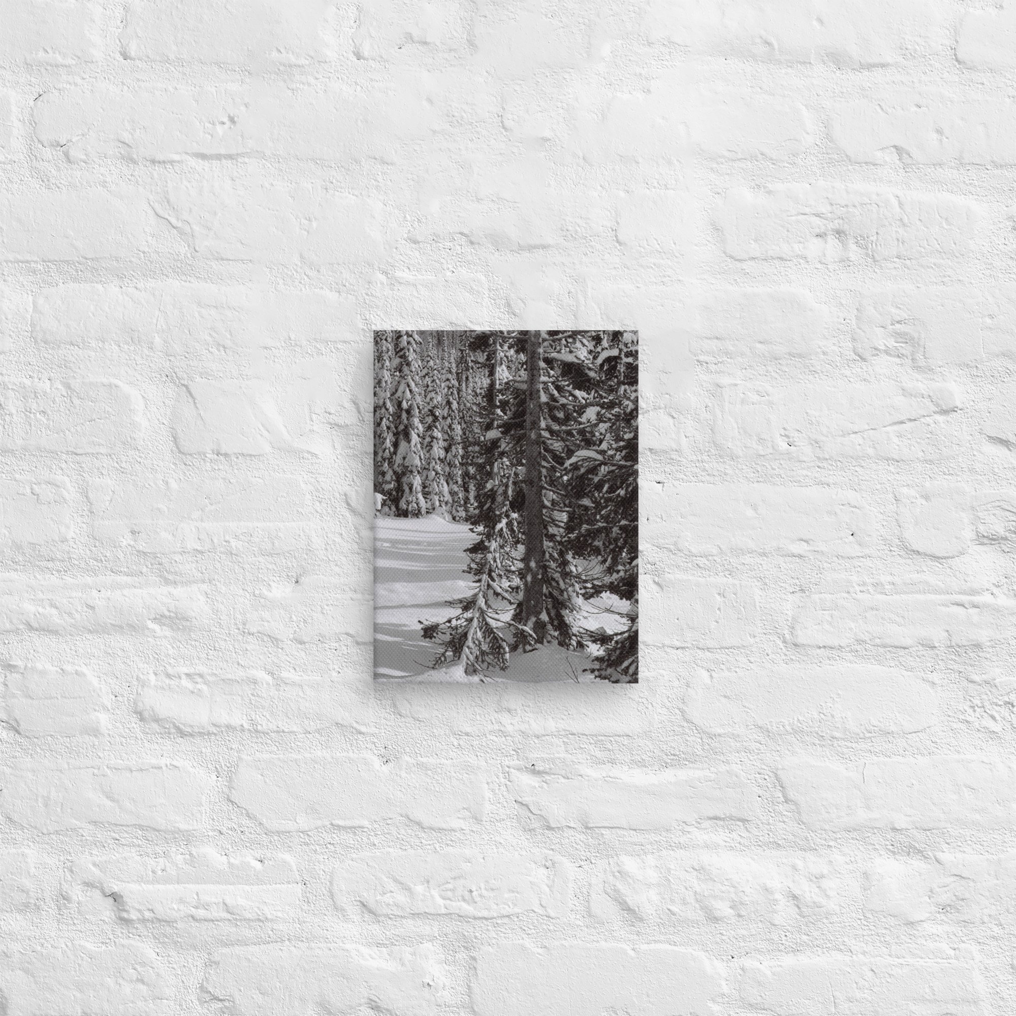 canvas-(in)-9x12-front-67ed9e6104144.jpg