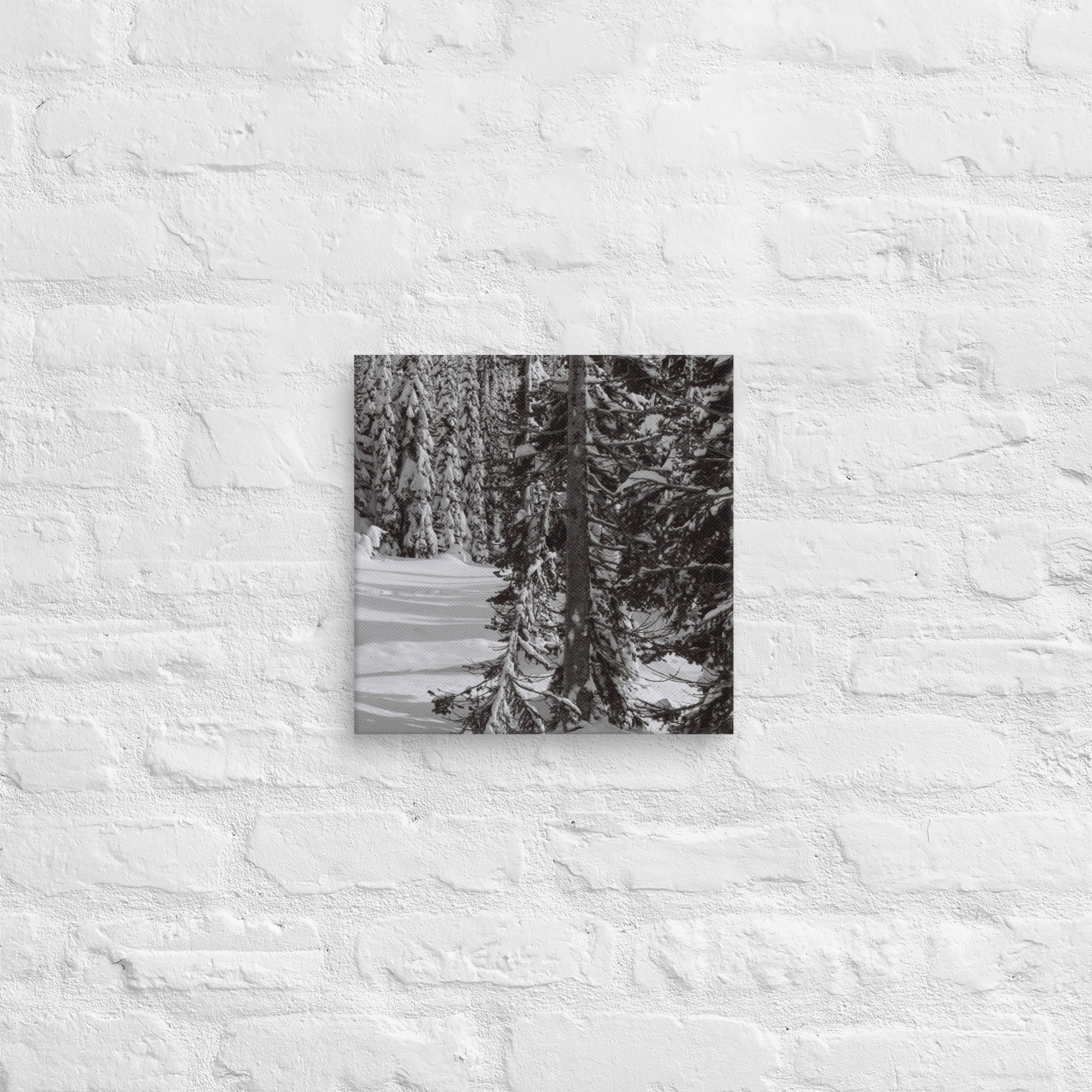 canvas-(in)-12x12-front-67ed9e6104272.jpg