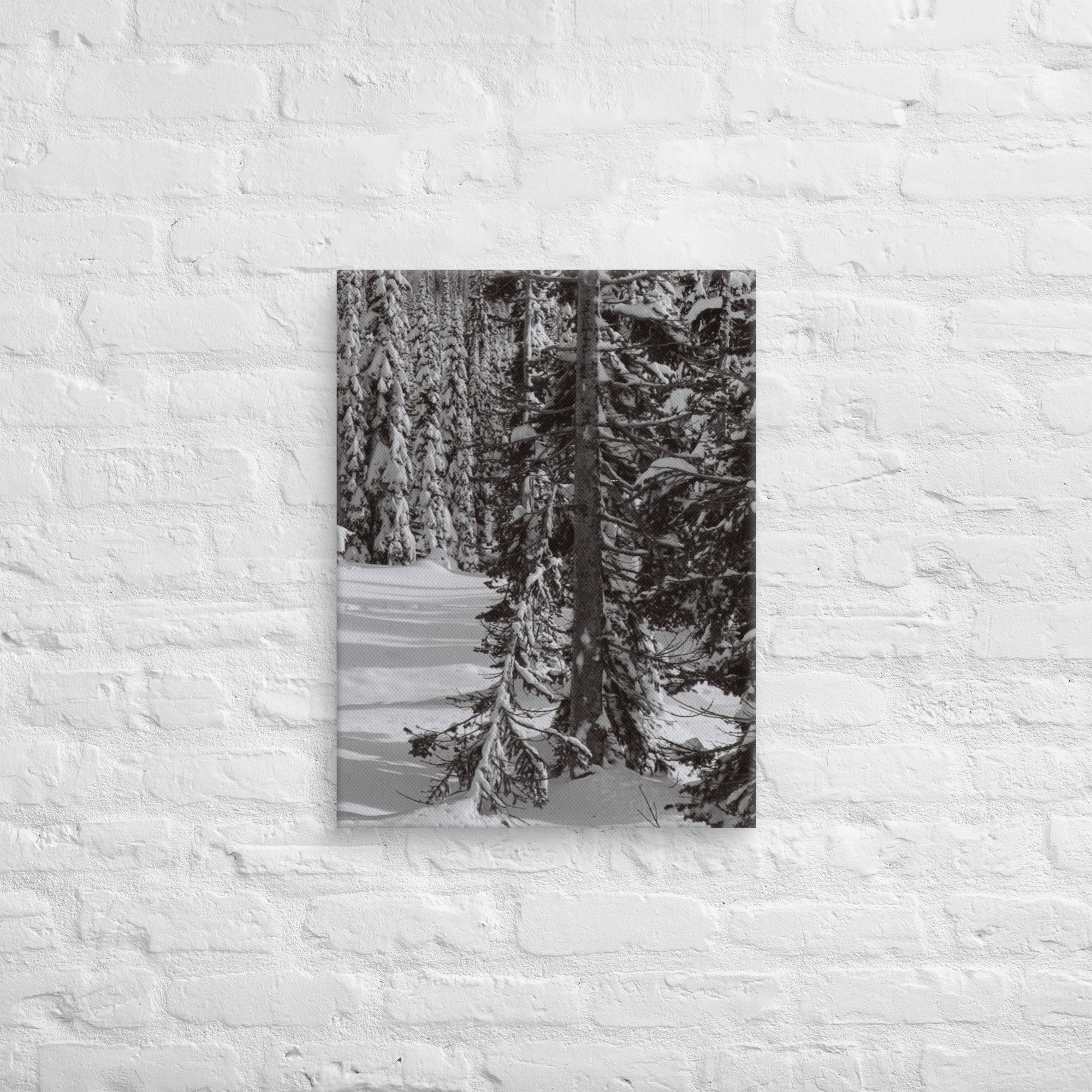 canvas-(in)-18x24-front-67ed9e6104607.jpg