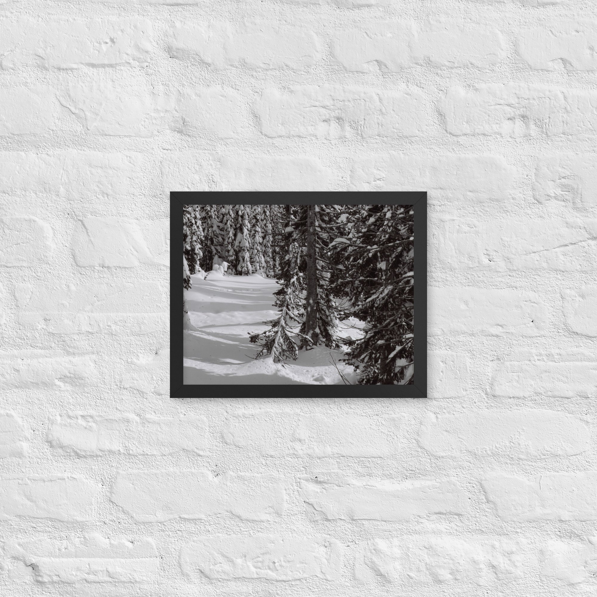 enhanced-matte-paper-framed-poster-(in)-black-11x14-front-67eda8e36c263.jpg