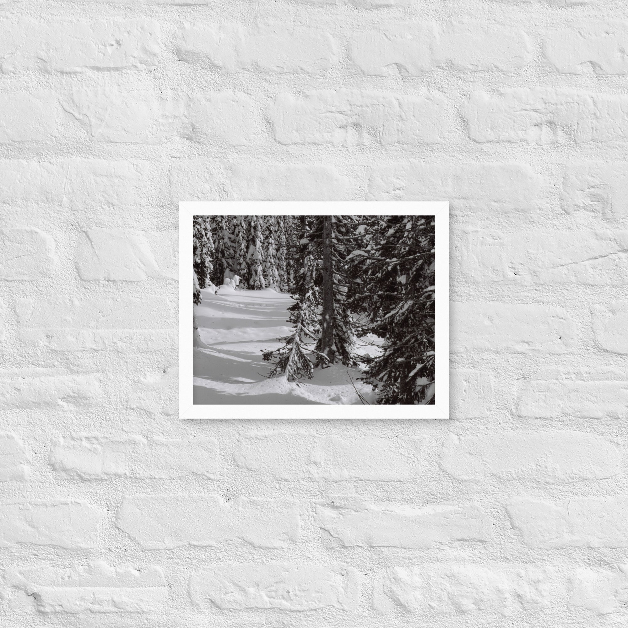 enhanced-matte-paper-framed-poster-(in)-white-11x14-front-67eda8e36ccea.jpg
