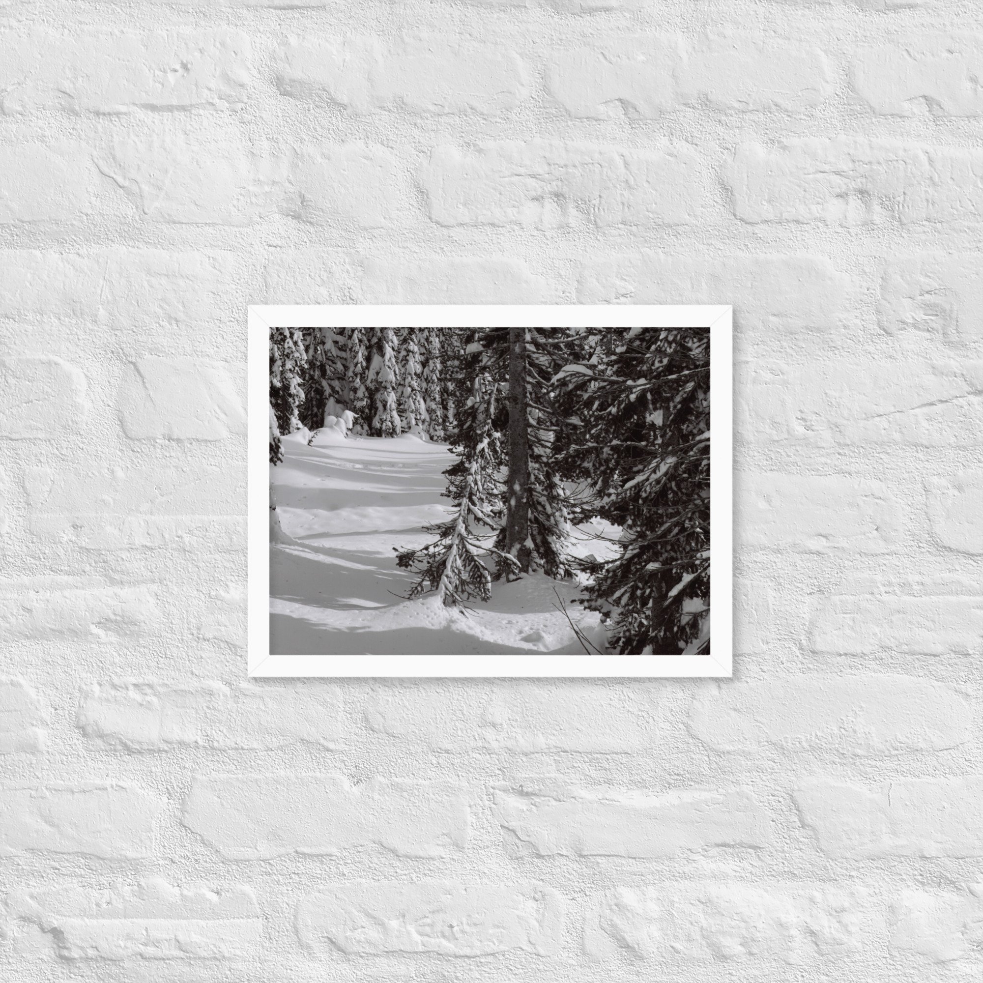 enhanced-matte-paper-framed-poster-(in)-white-12x16-front-67eda8e36cde7.jpg