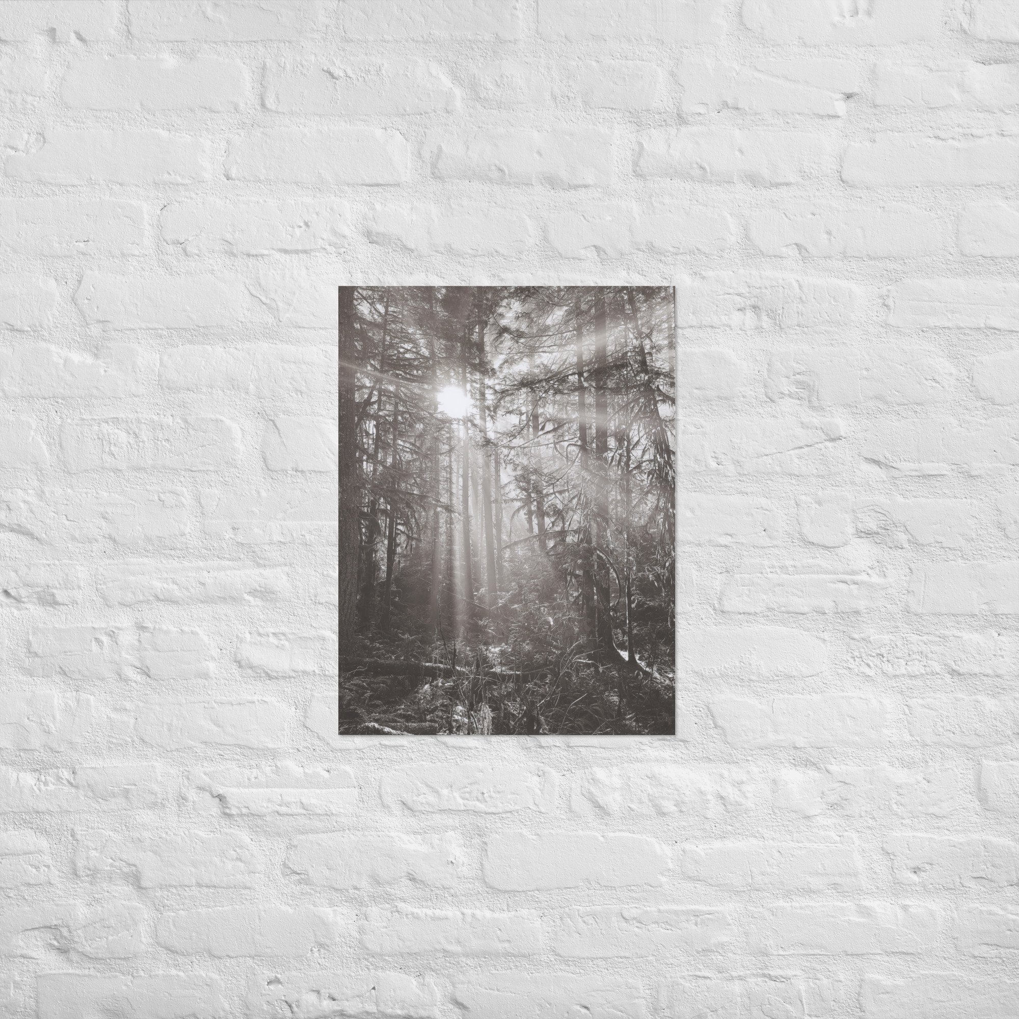 enhanced-matte-paper-poster-(in)-18x24-front-67eedb4e16370.jpg