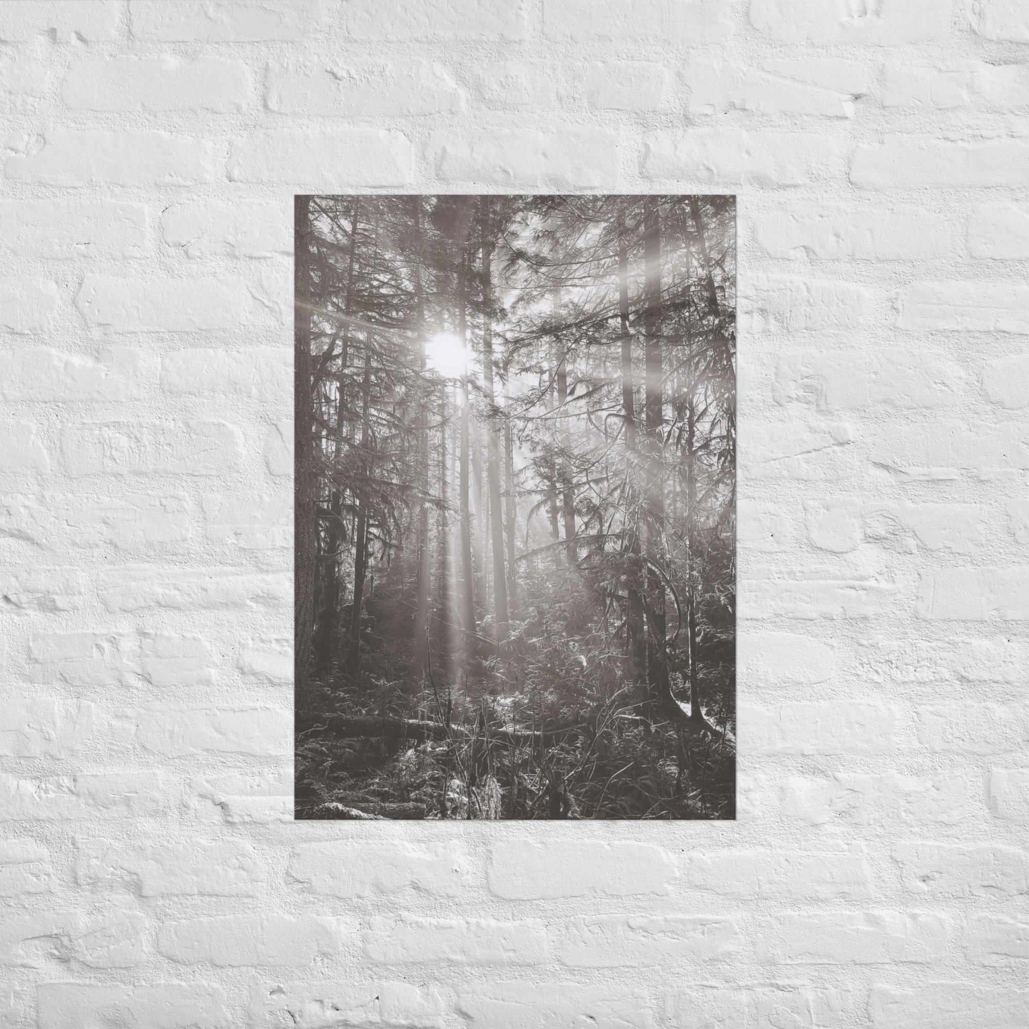 enhanced-matte-paper-poster-(in)-a1-(23.3x33.1)-front-67eedb4e16c05.jpg