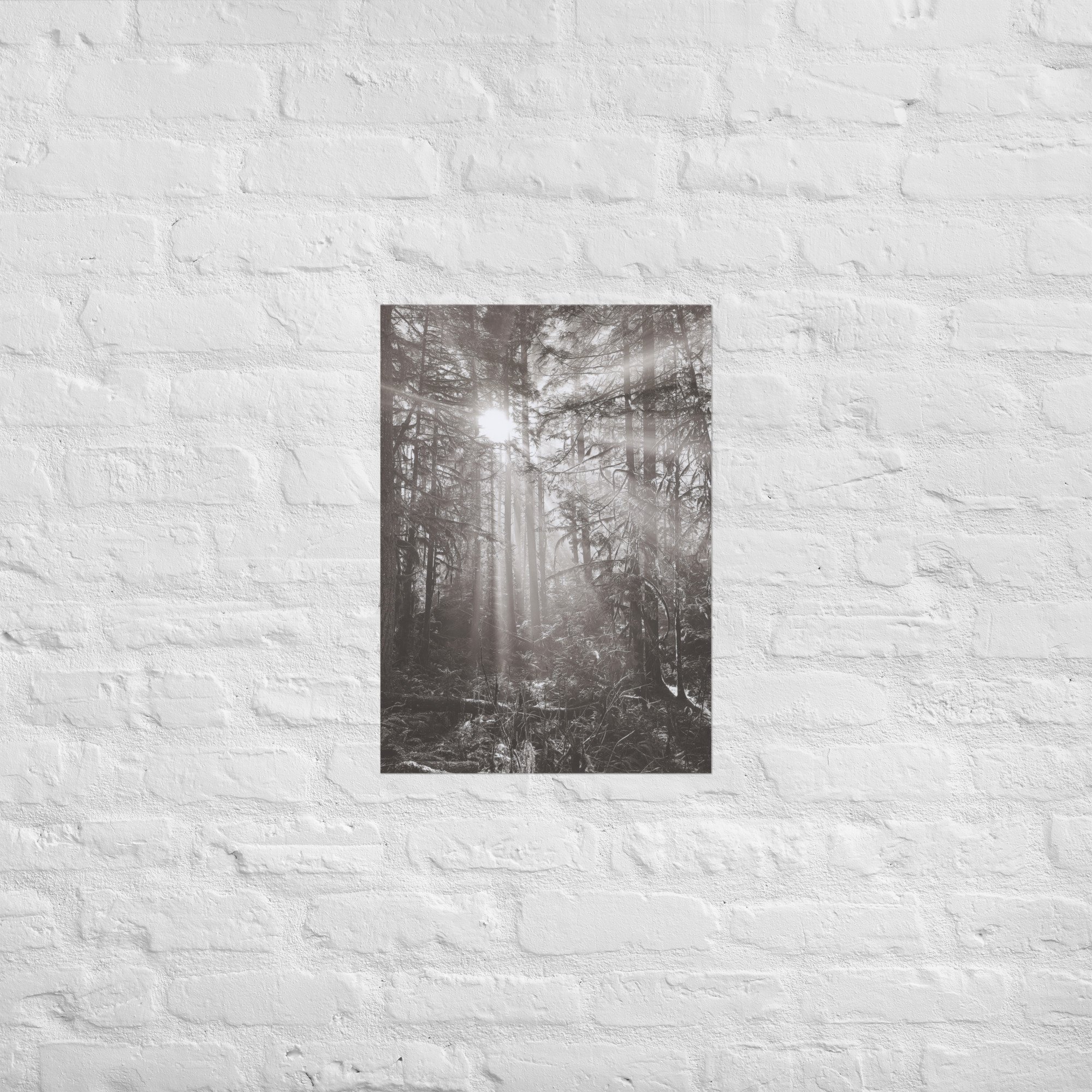 enhanced-matte-paper-poster-(in)-a2-(16.5x23.3)-front-67eedb4e16ce3.jpg