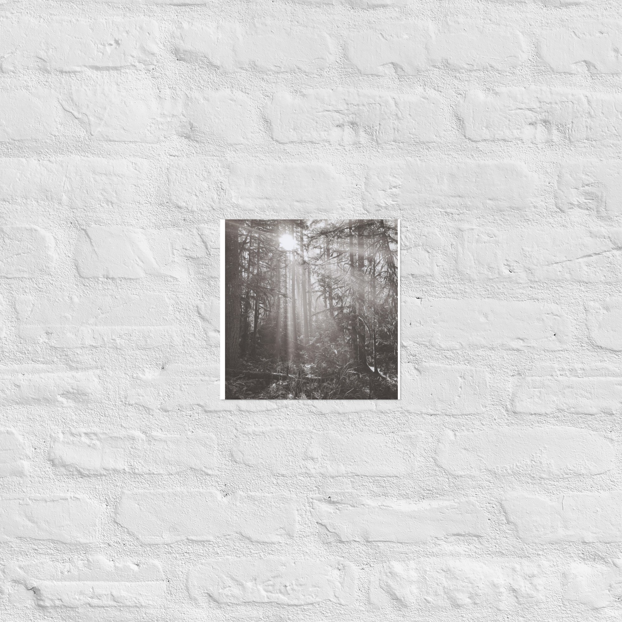 enhanced-matte-paper-poster-(in)-10x10-front-67eedb4e16dea.jpg