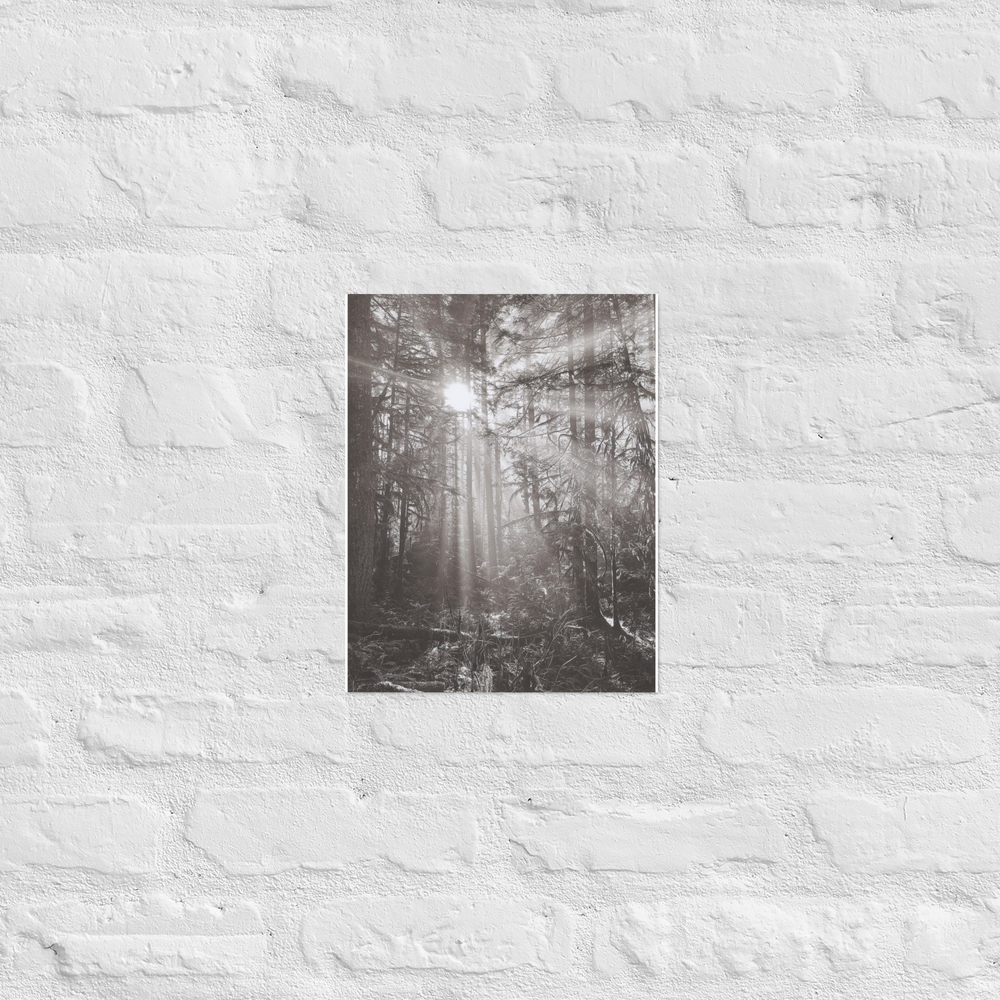 enhanced-matte-paper-poster-(in)-11x14-front-67eedb4e16f42.jpg