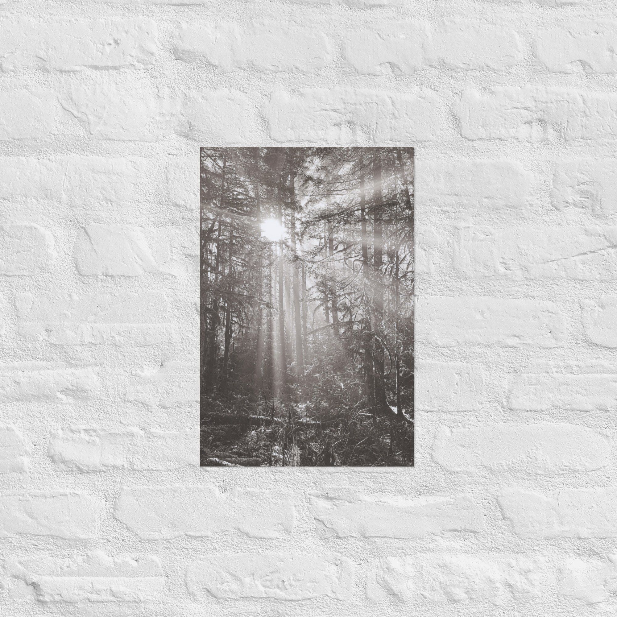 enhanced-matte-paper-poster-(in)-12x18-front-67eedb4e17318.jpg