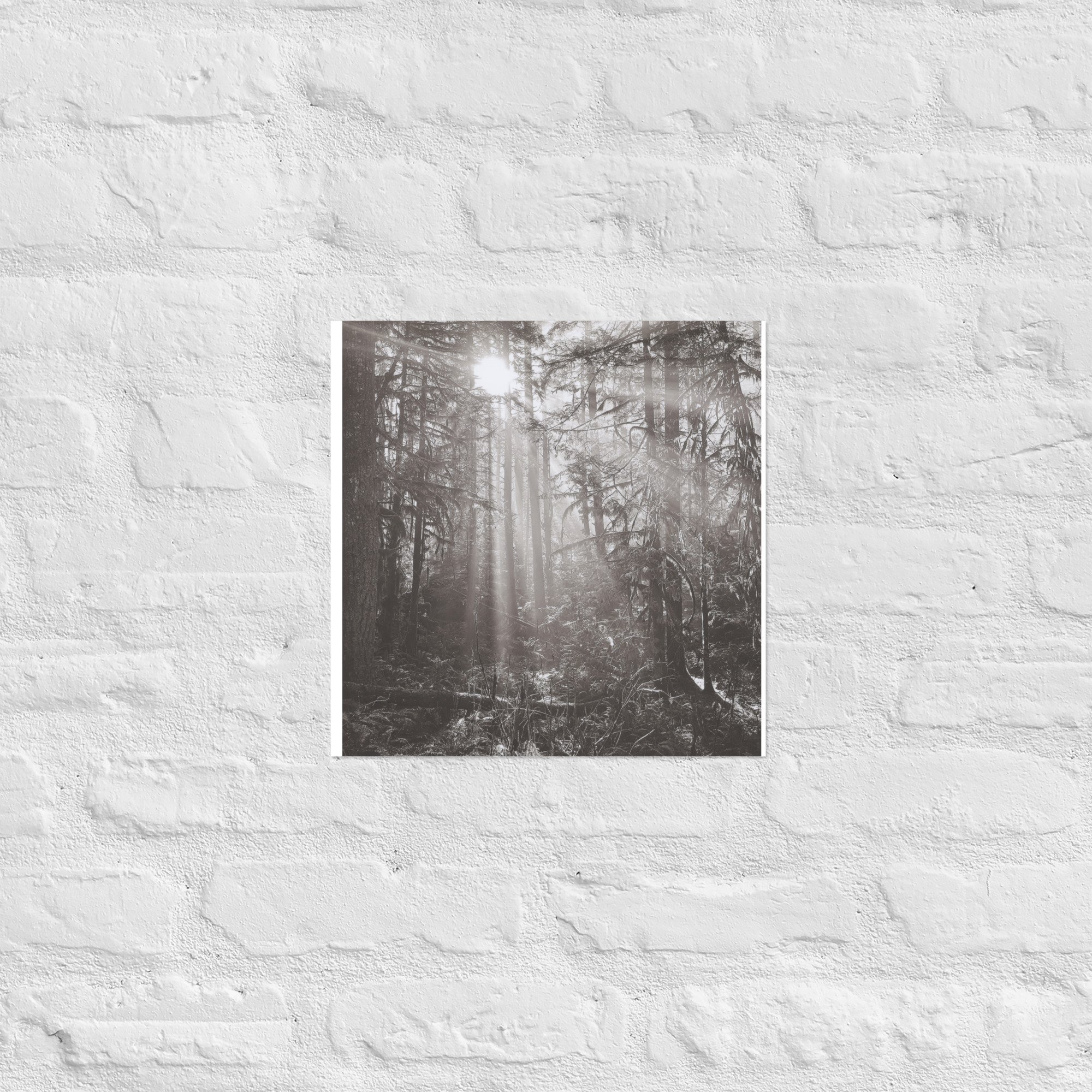 enhanced-matte-paper-poster-(in)-14x14-front-67eedb4e1744f.jpg