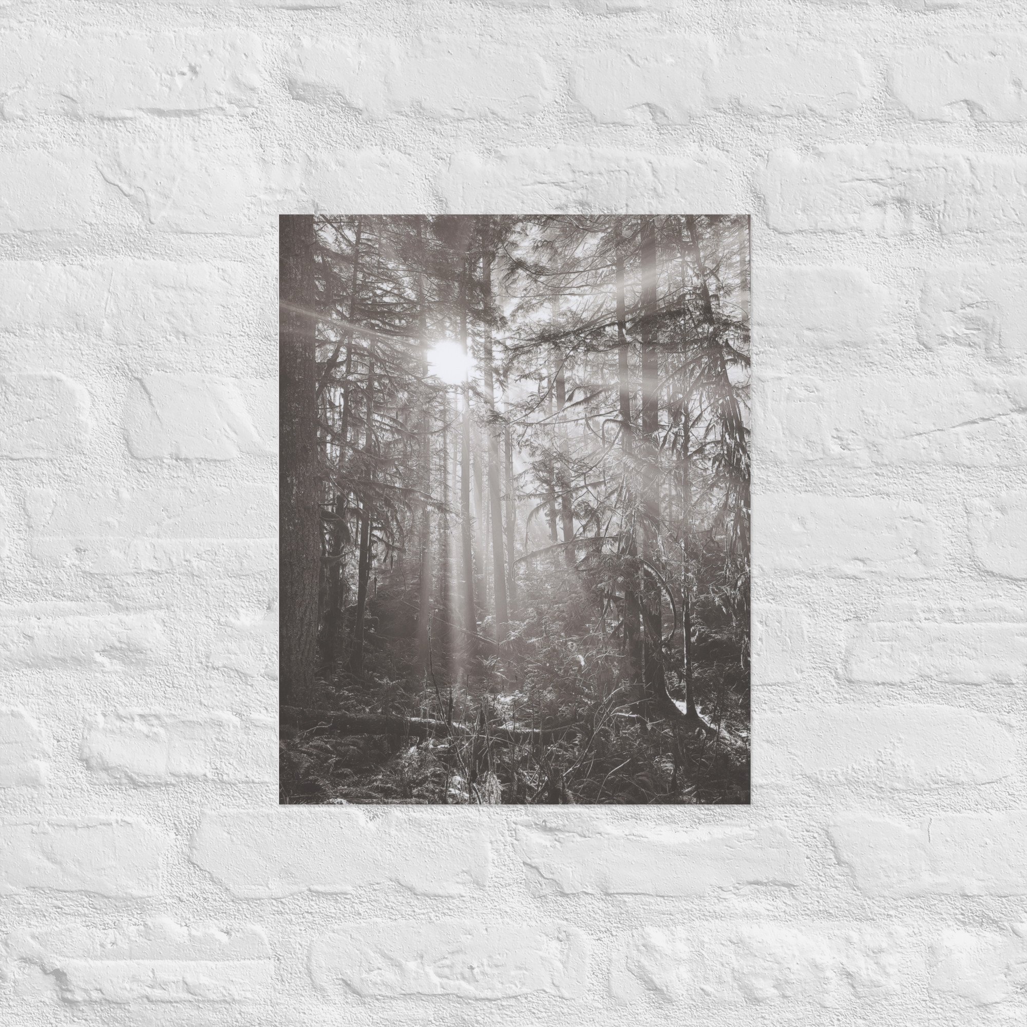 enhanced-matte-paper-poster-(in)-16x20-front-67eedb4e176ba.jpg