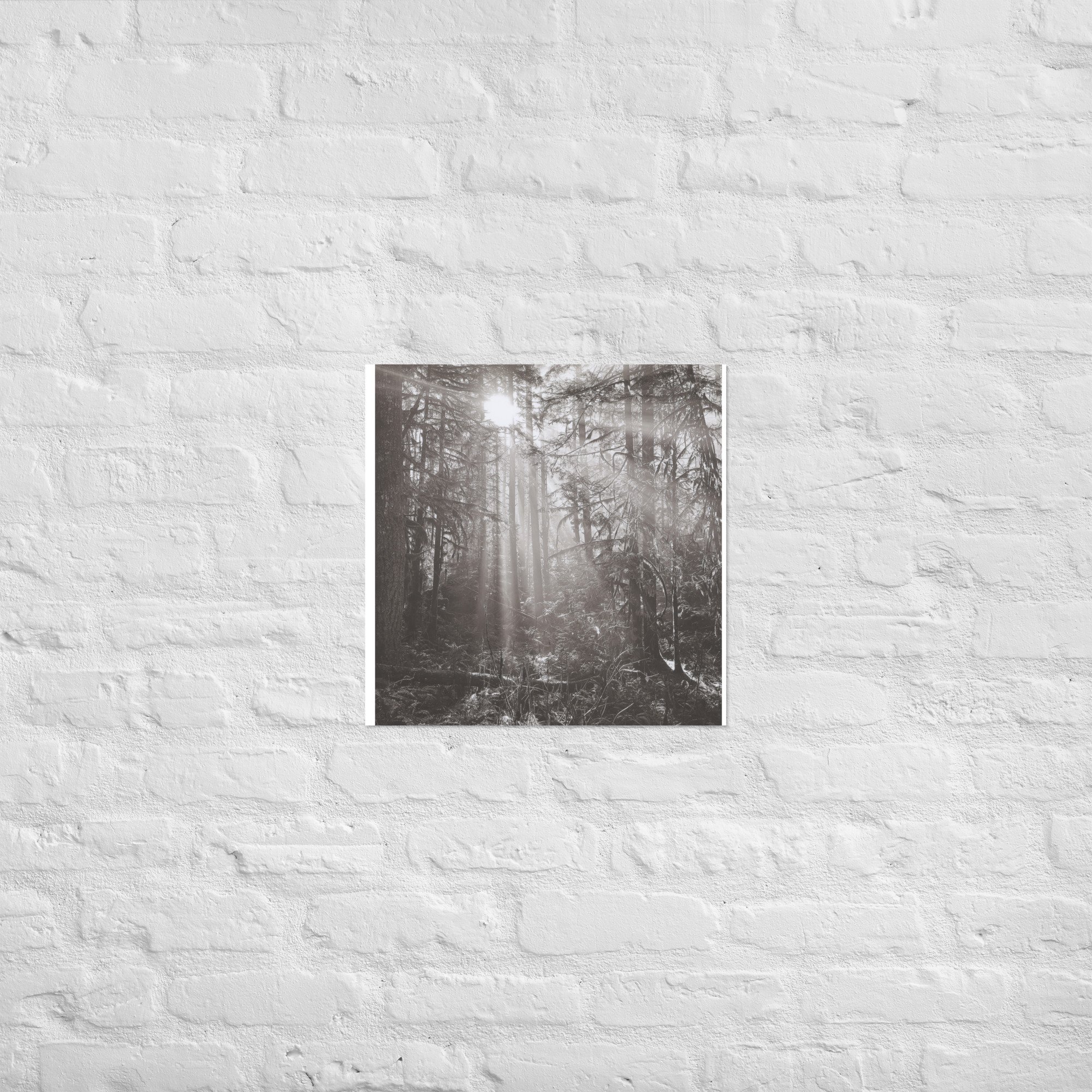 enhanced-matte-paper-poster-(in)-18x18-front-67eedb4e17812.jpg