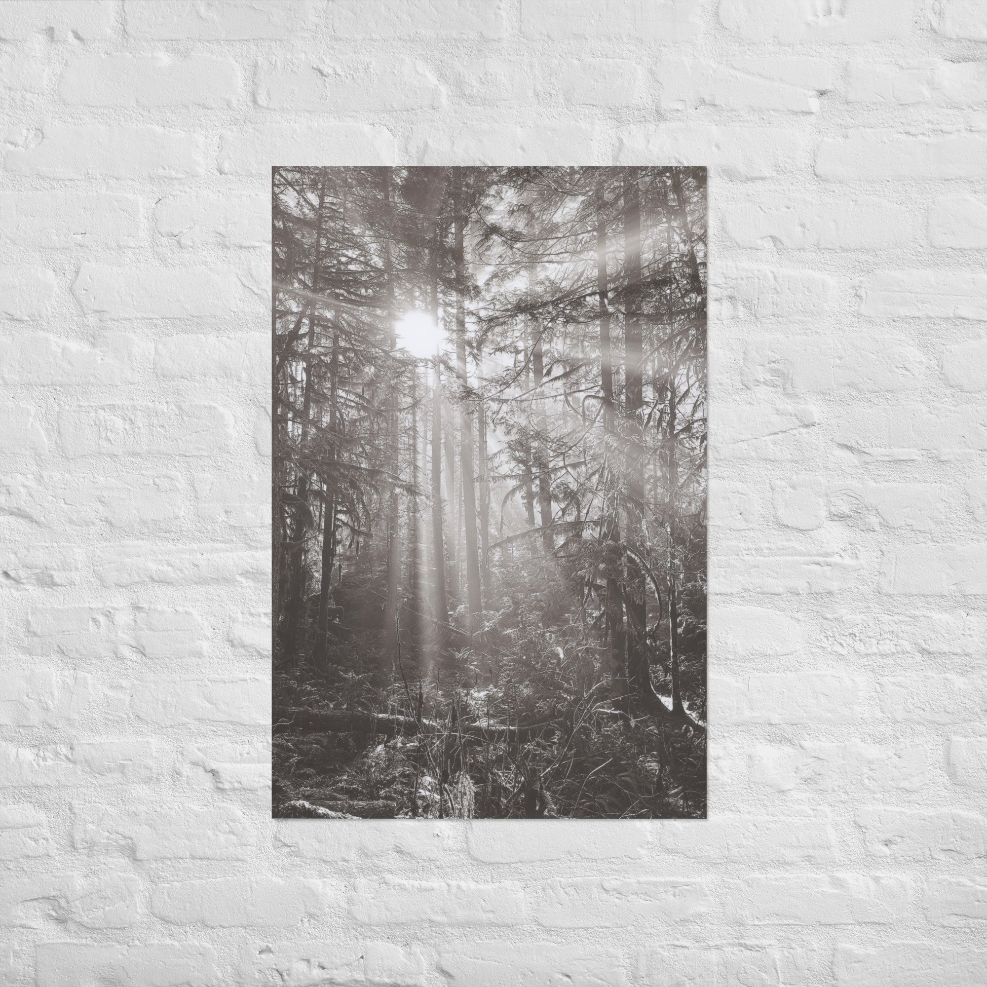 enhanced-matte-paper-poster-(in)-24x36-front-67eedb4e17ba2.jpg