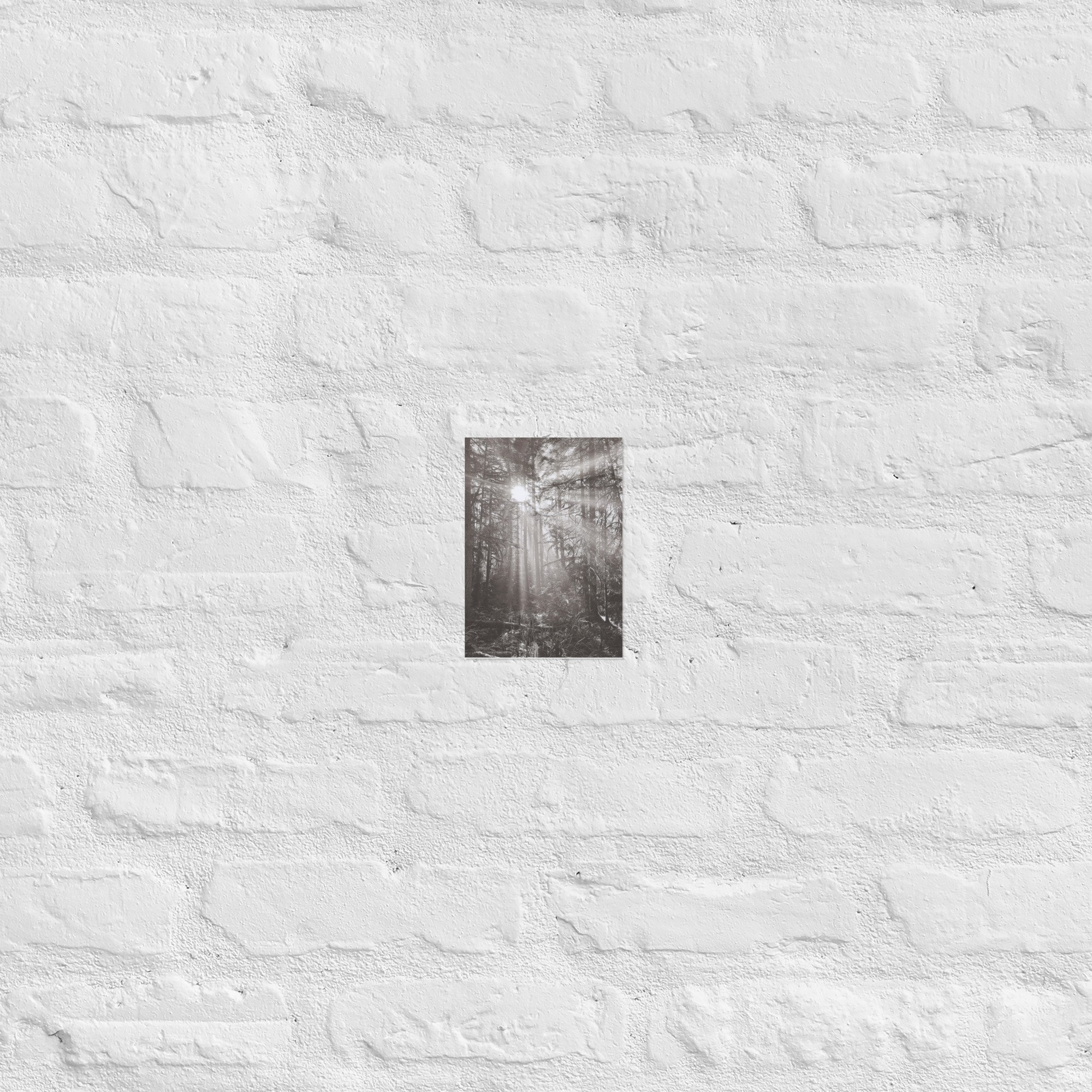 enhanced-matte-paper-poster-(in)-5x7-front-67eedb4e17ce8.jpg