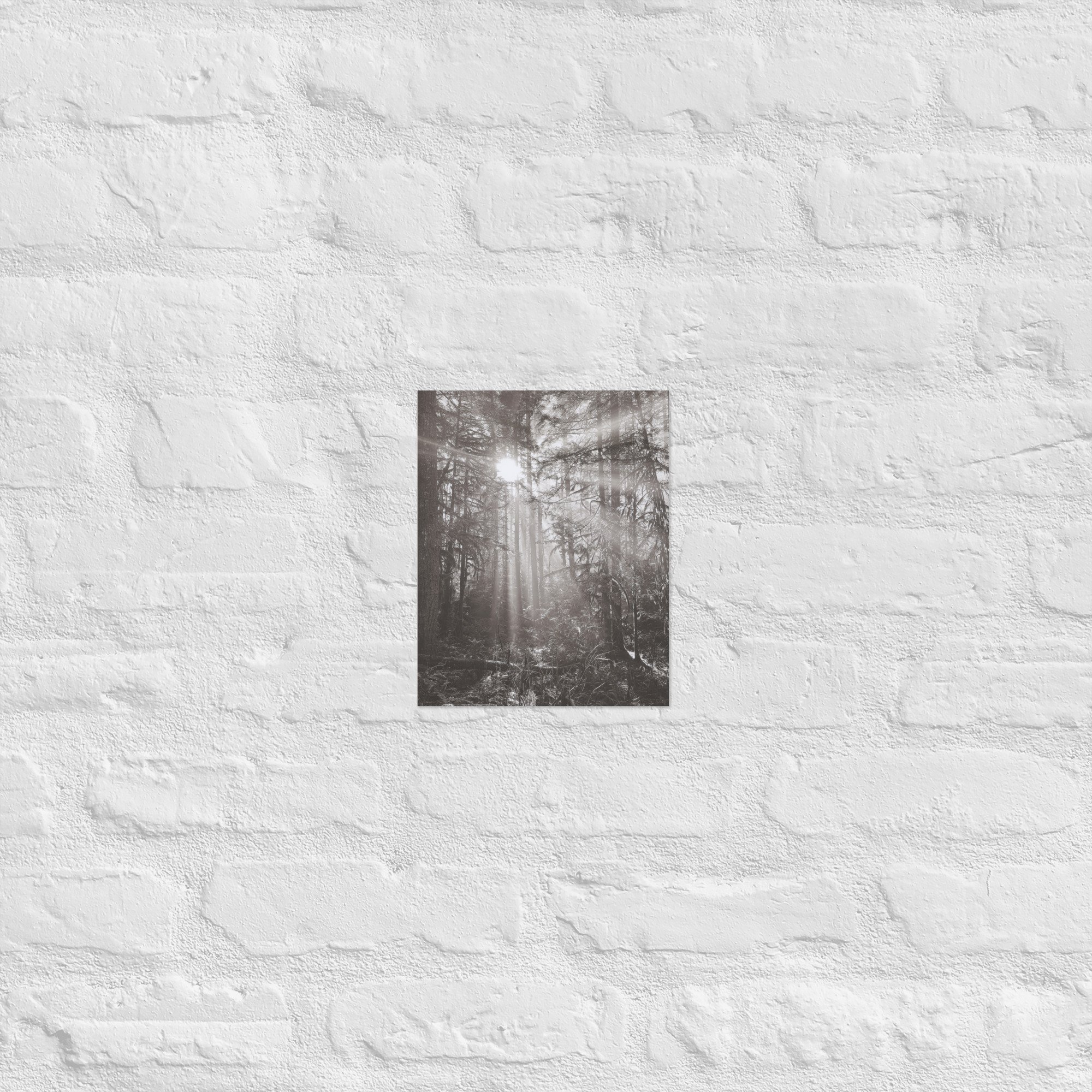 enhanced-matte-paper-poster-(in)-8x10-front-67eedb4e17e20.jpg